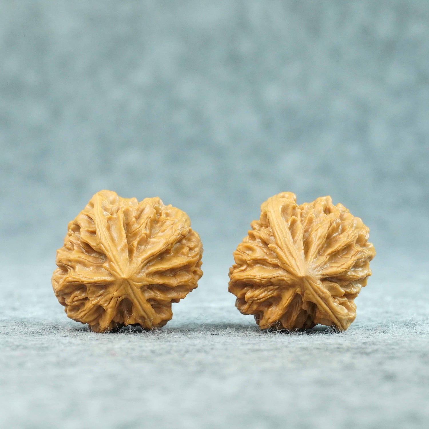 36mm Longmenjian Wild Lion’s Head Walnut Pair | One-of-a-Kind Matched Pair | 072006