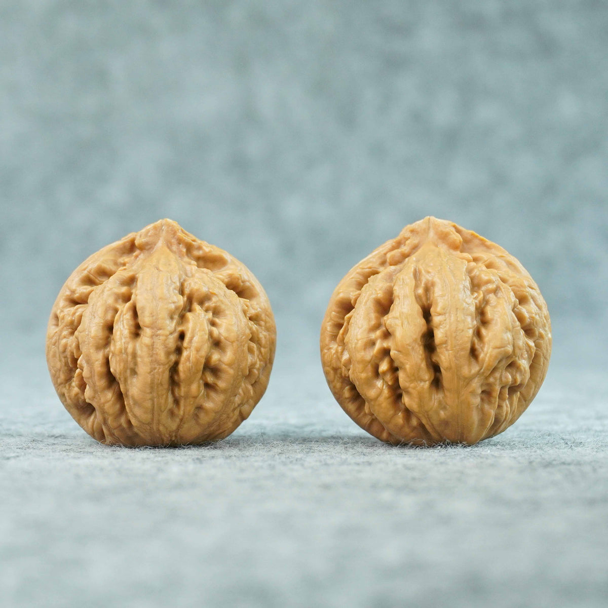 41.5mm Tyrannosaurus Walnut | One-of-a-Kind Collector Pair | 081003