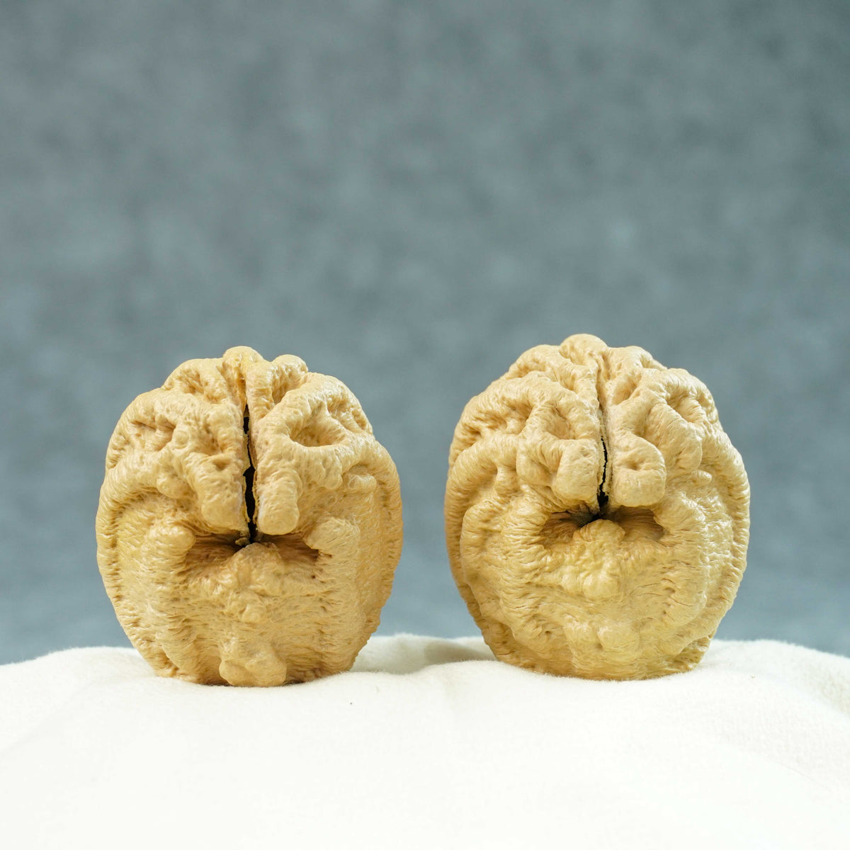 43mm Indonesian Qiankun Ghost Face Walnut | One-of-a-Kind Listing |100904