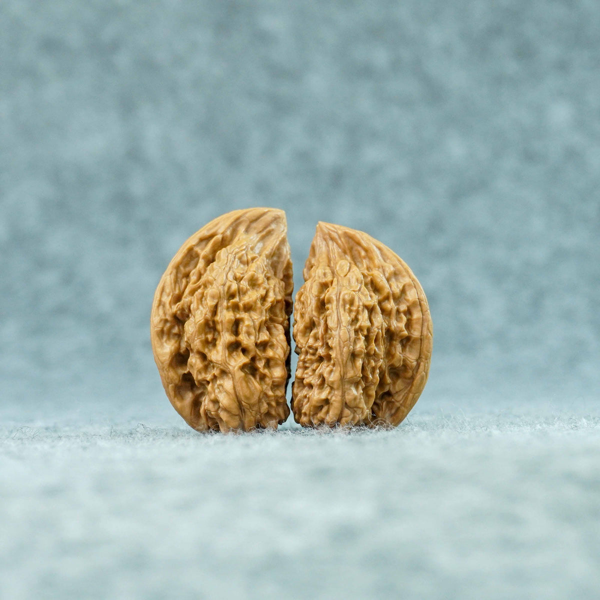 Official Hat Half-Wall Walnut (Twin Walnut) – Half of the Empire | One-of-a-Kind Listing |101305