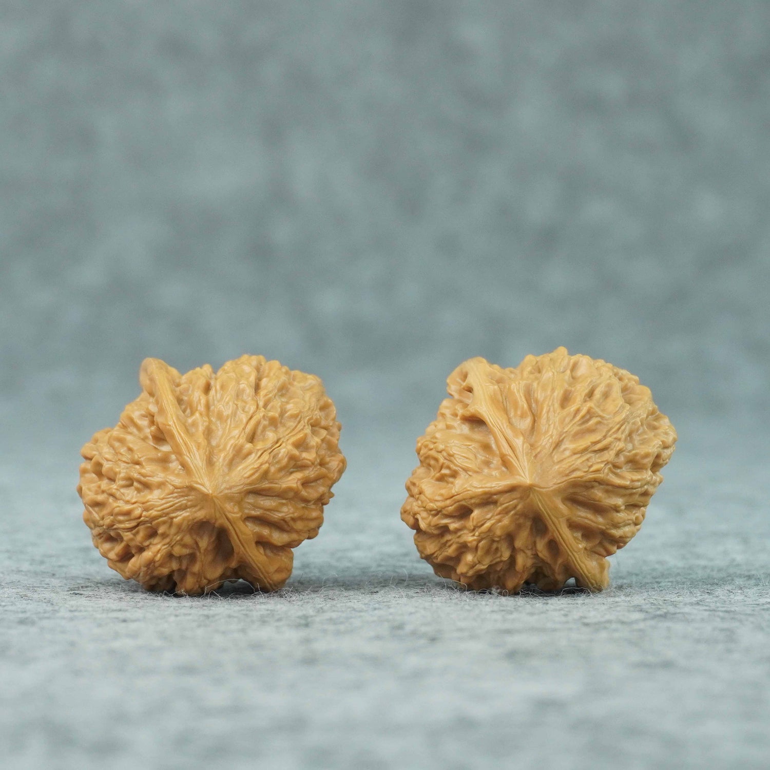 36mm Golden Bull Walnut Pair | One-of-a-Kind Listing | 070808