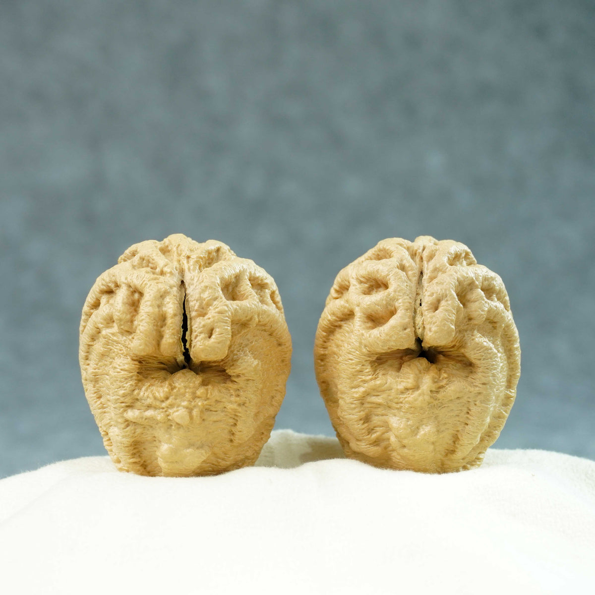 43mm Indonesian Qiankun Ghost Face Walnut | One-of-a-Kind Listing |100902