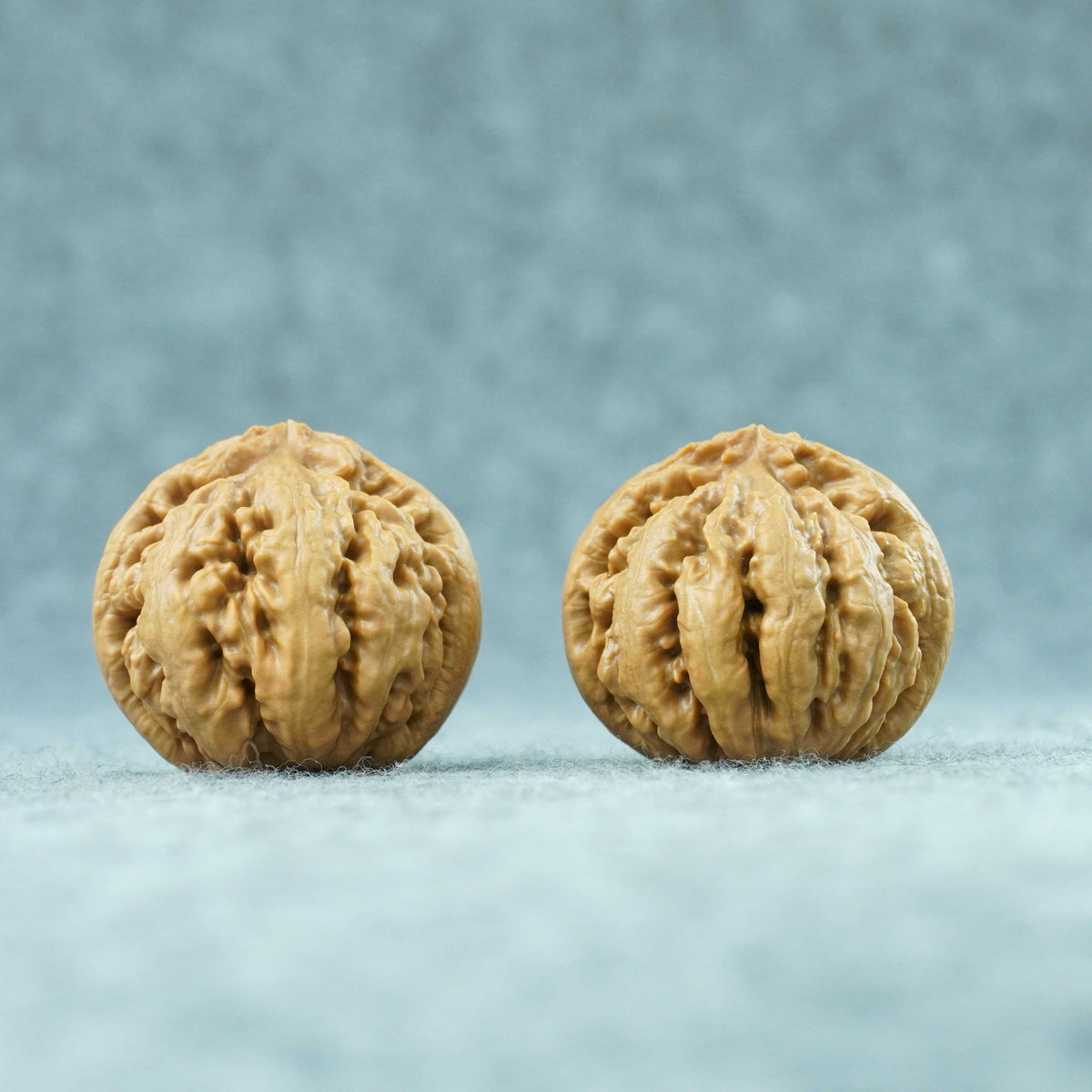 43mm Tyrannosaurus Walnut | One-of-a-Kind Collector Pair |101505