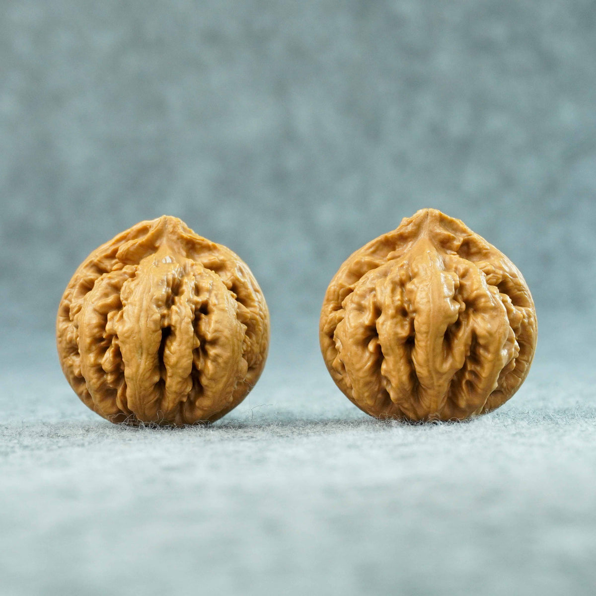 43mm Tyrannosaurus Walnut | One-of-a-Kind Collector Pair | 092004