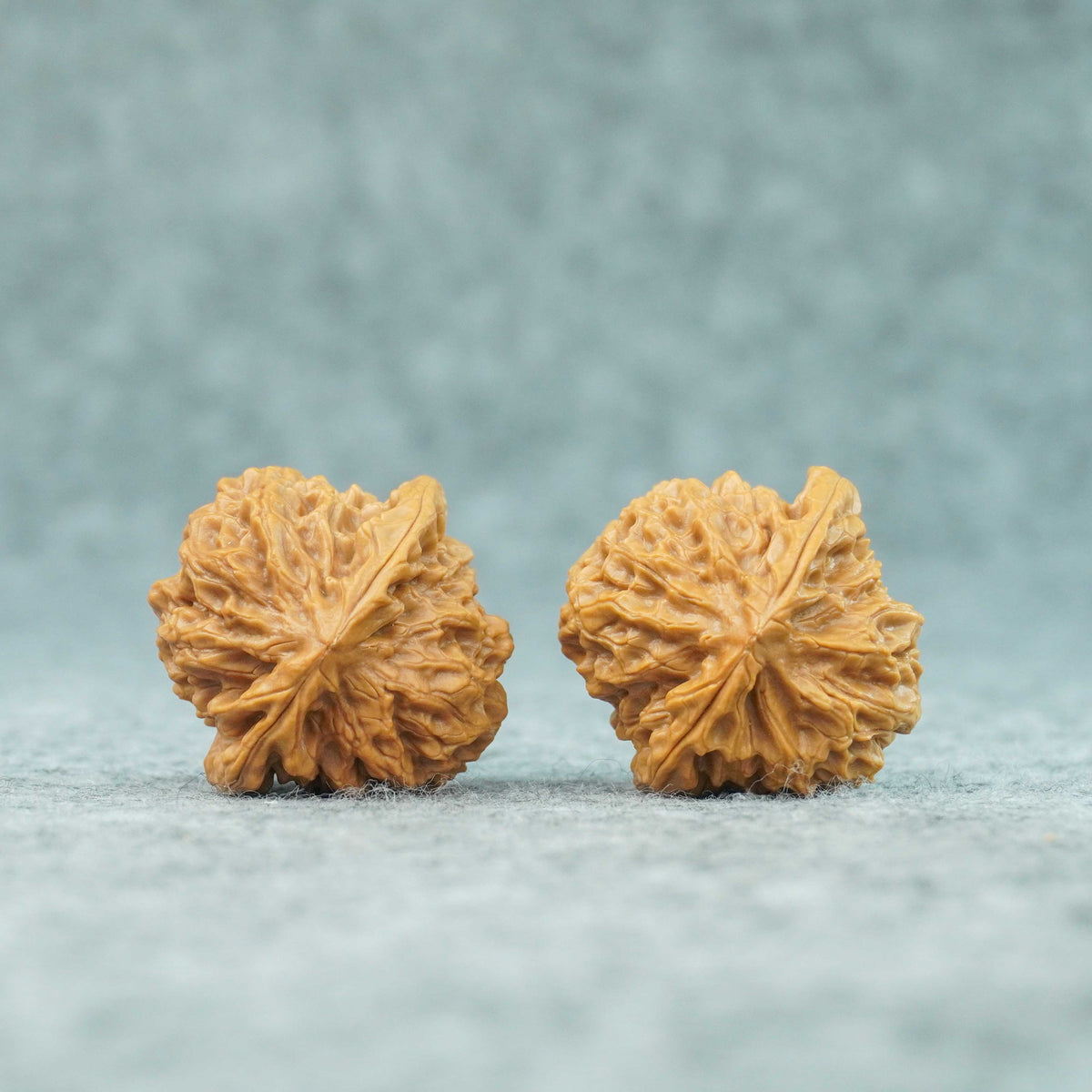 37.5mm Caviar Pattern Rolling Stone Lion Head Walnut | One-of-a-Kind Listing | 092415