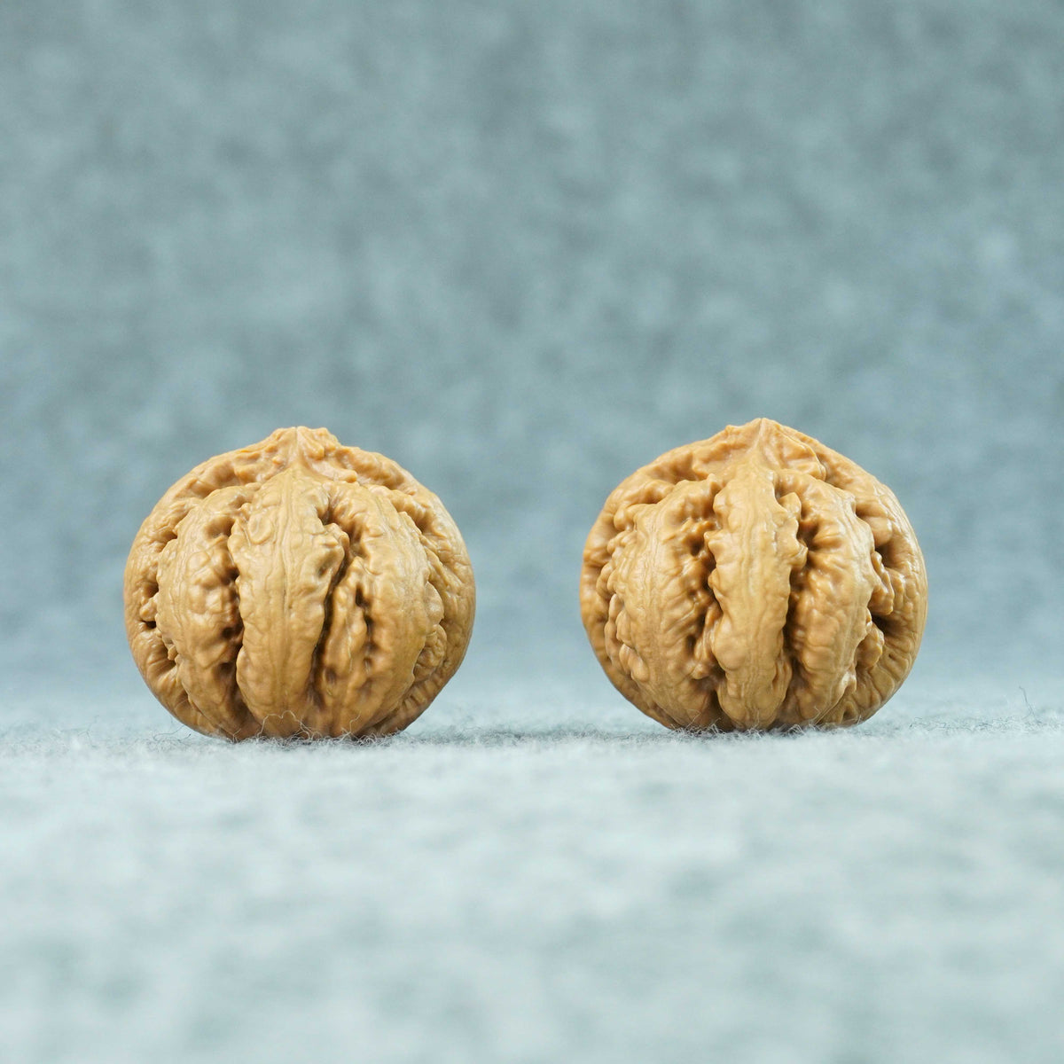 42.5mm Tyrannosaurus Walnut | One-of-a-Kind Collector Pair |101311