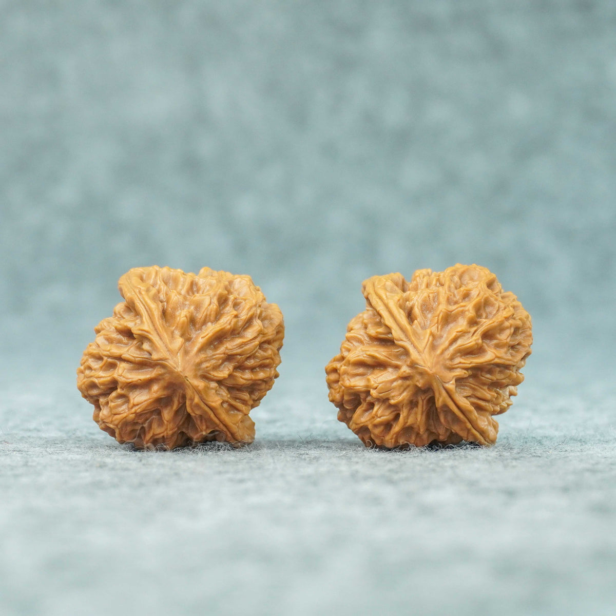 37mm Caviar Pattern Rolling Stone Lion Head Walnut | One-of-a-Kind Listing | 092418