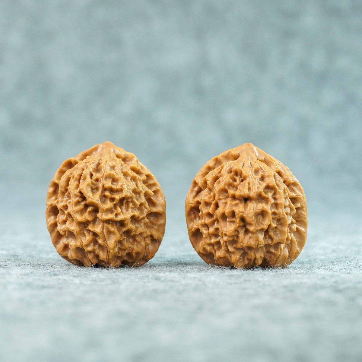 35mm Caviar Pattern Rolling Stone Lion Head Walnut | One-of-a-Kind Listing | 092411