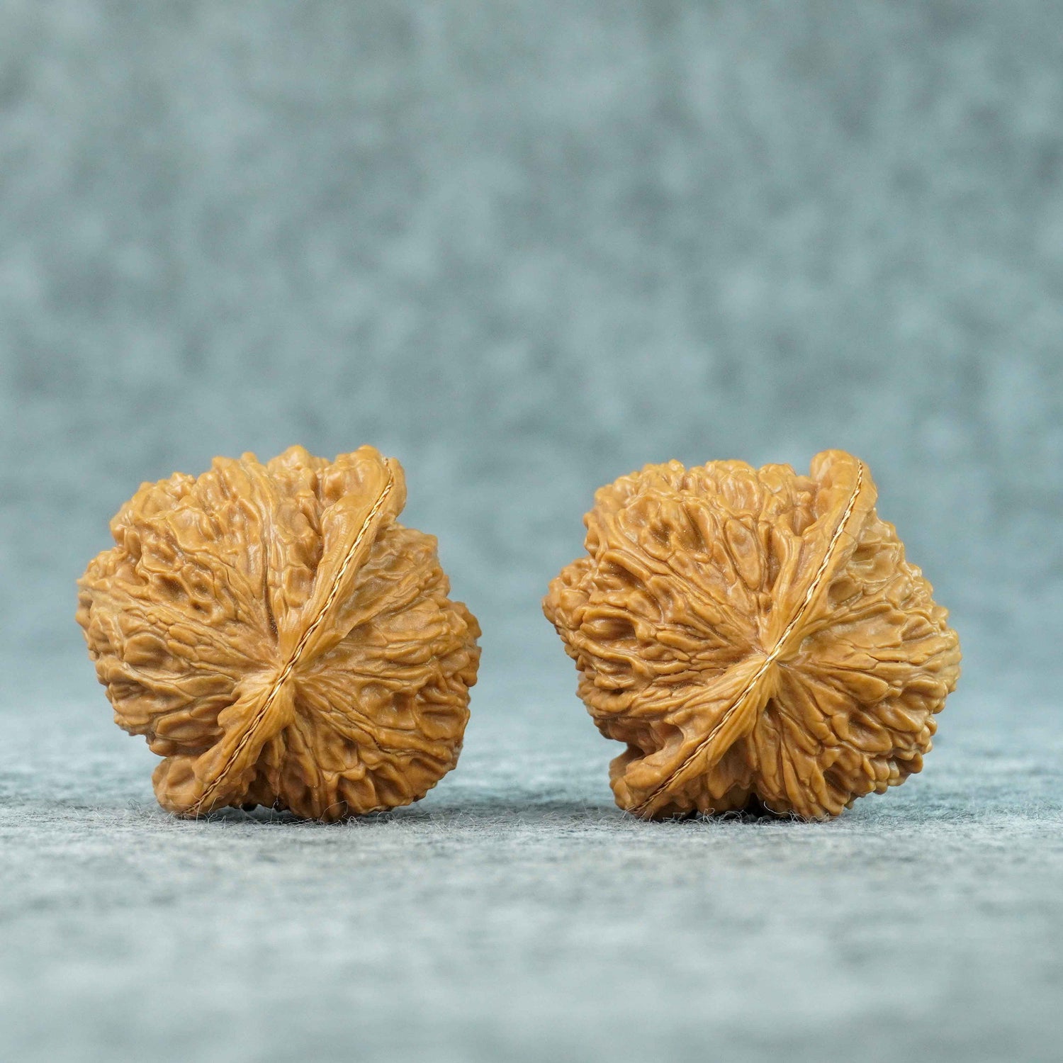 43.5mm Big White Lion Head Walnut Pair | One-of-a-Kind Listing | 070906