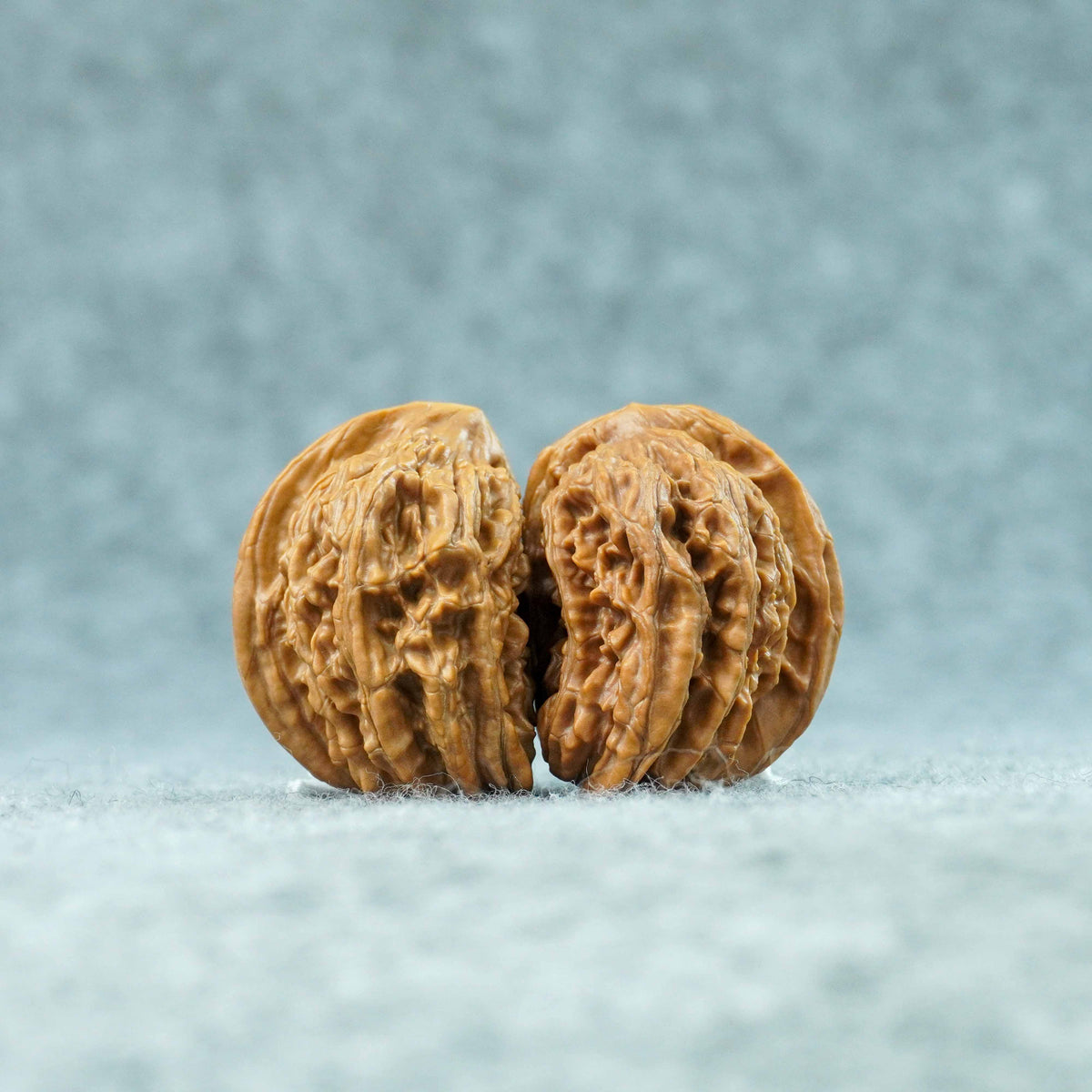 Four Towers Lion Head Half-Wall Walnut (Twin Walnut) – Half of the Empire | One-of-a-Kind Listing |101303