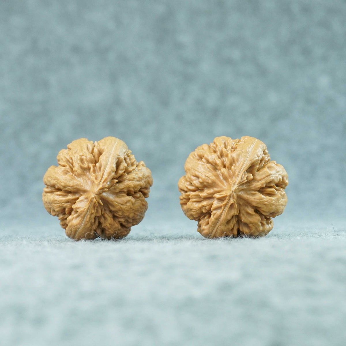 42.5mm Tyrannosaurus Walnut | One-of-a-Kind Collector Pair |101311