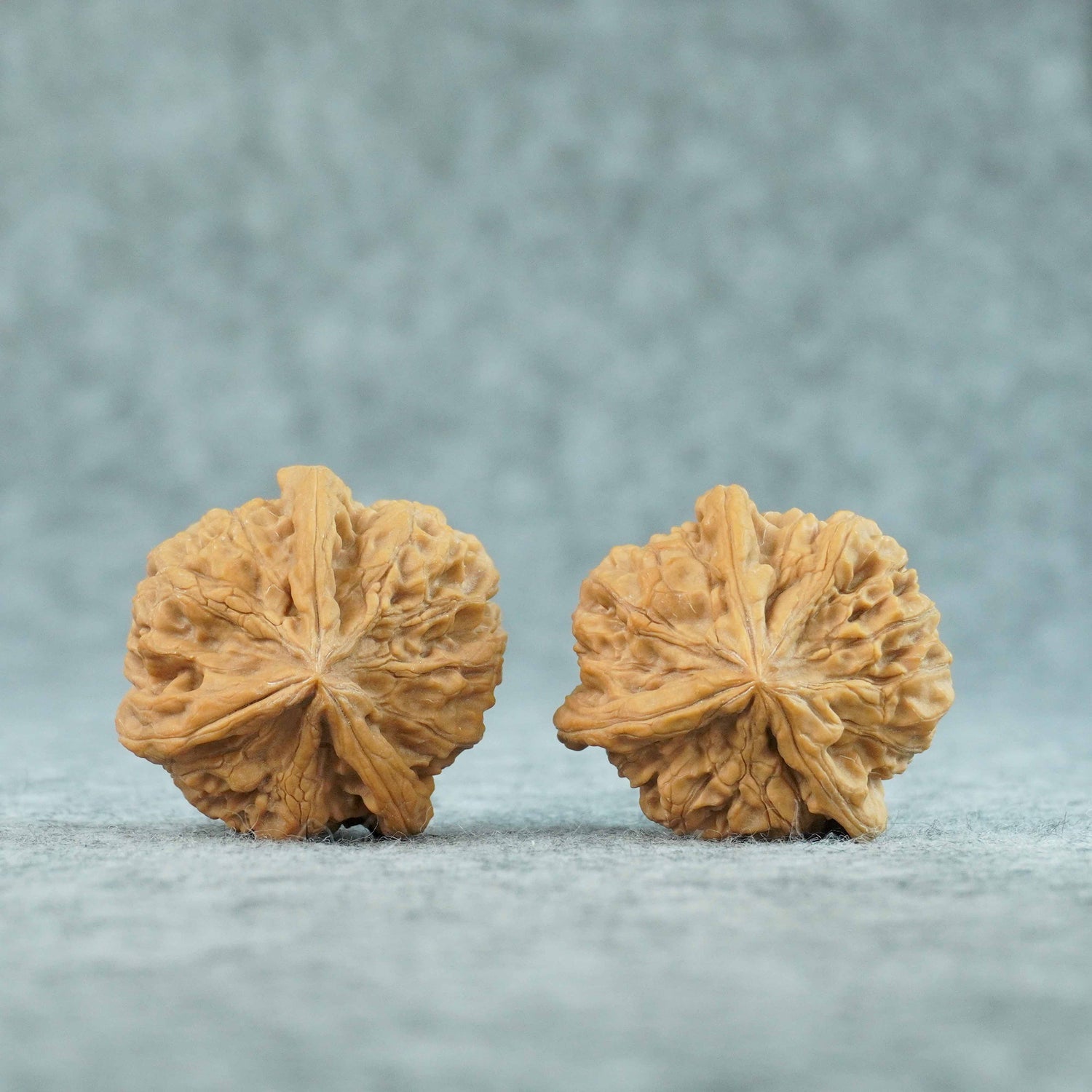 40mm Yuxi T-Shaped Three-Ridge Lion Head Walnut | One-of-a-Kind Listing |071103
