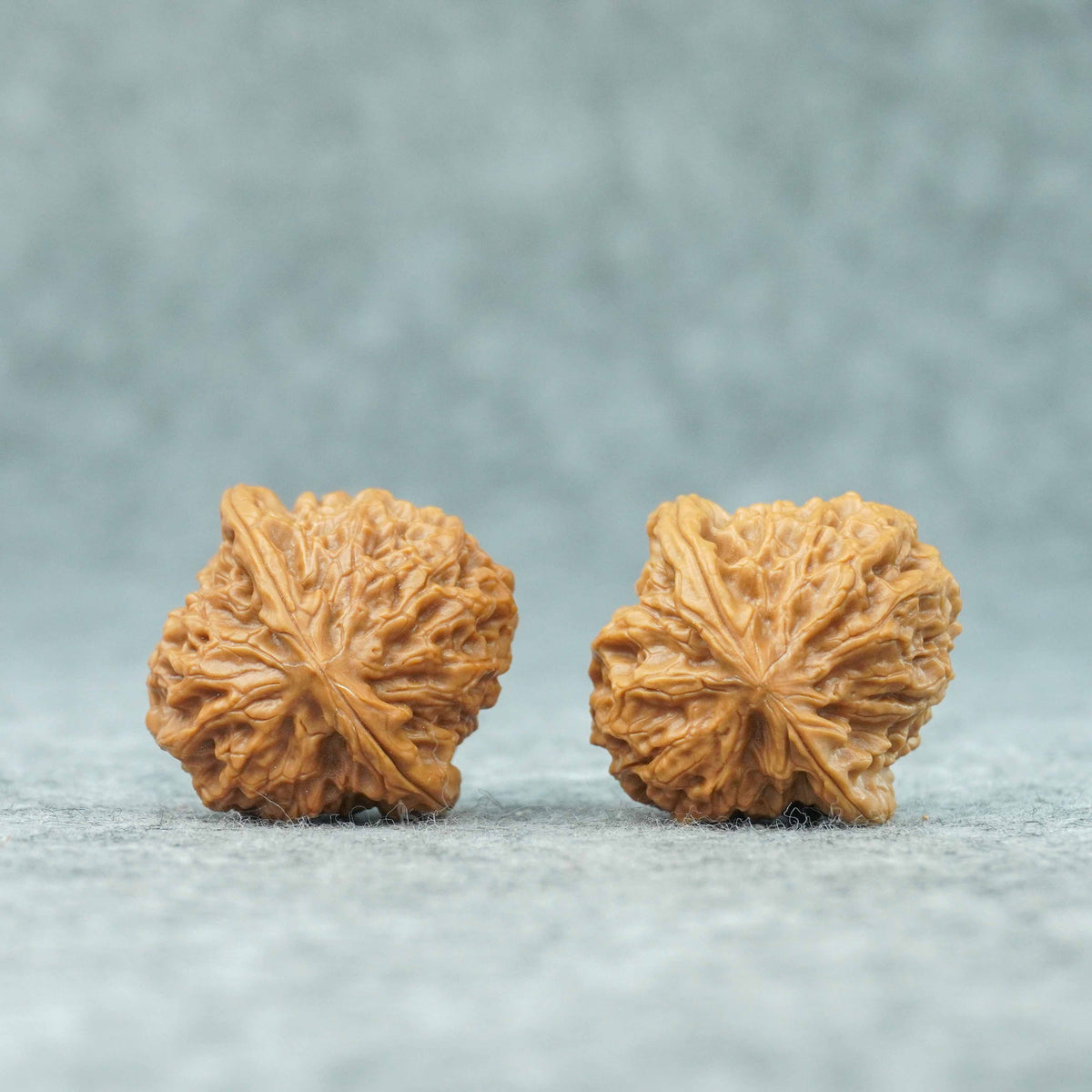 36mm Caviar Pattern Rolling Stone Lion Head Walnut | One-of-a-Kind Listing | 092413