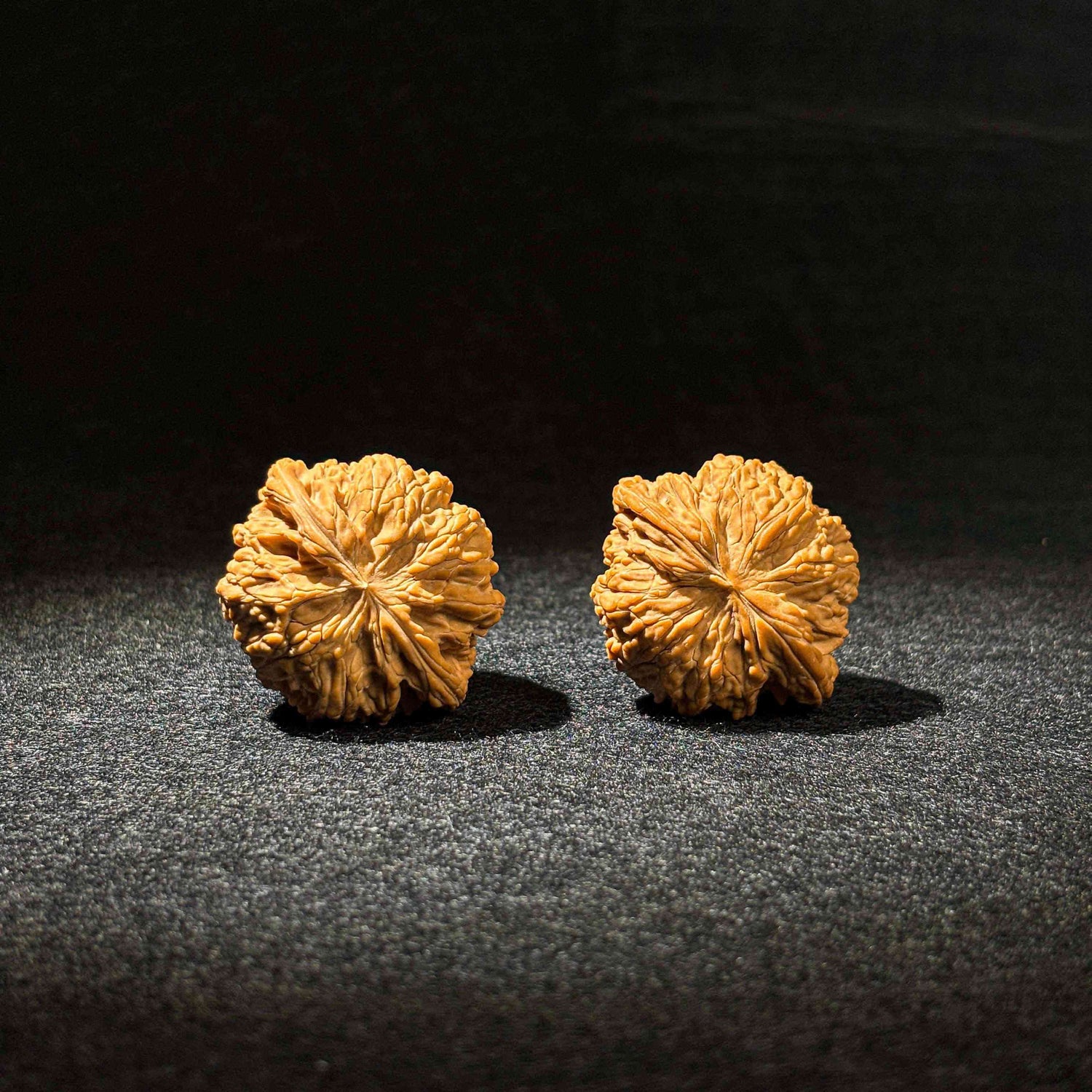 45mm Zhengmo Walnut | One-of-a-Kind Listing