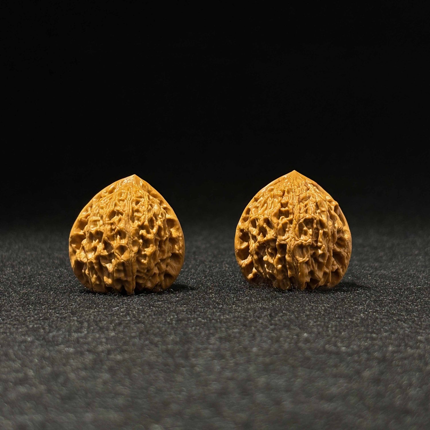37mm Golden Bull Walnut | One-of-a-Kind Listing