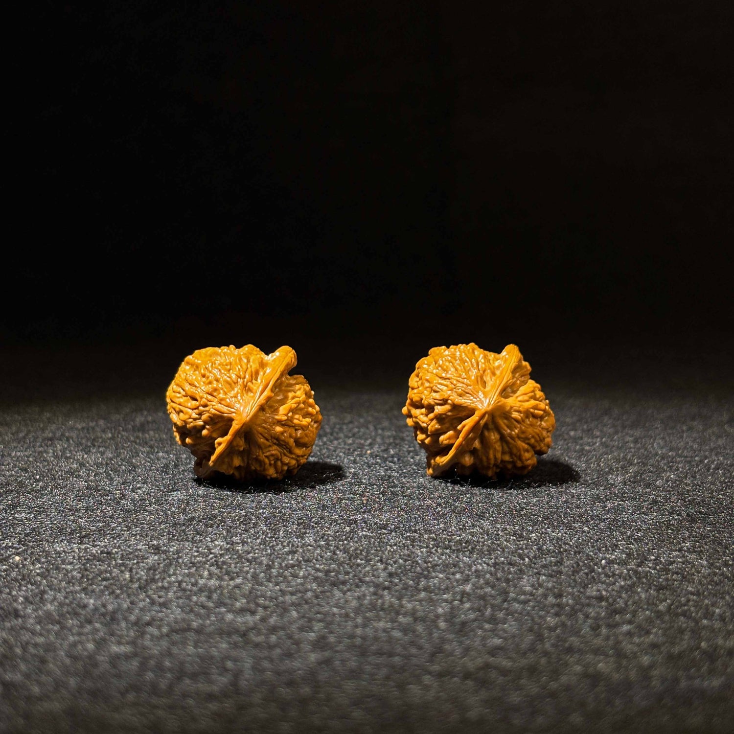 35mm Golden Bull Walnut | One-of-a-Kind Listing