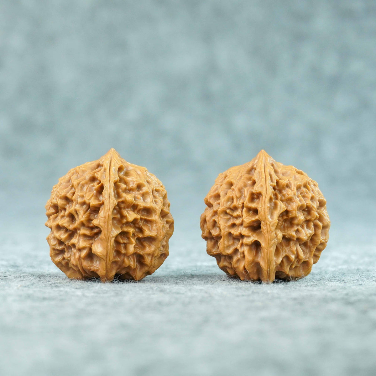 35mm Caviar Pattern Rolling Stone Lion Head Walnut | One-of-a-Kind Listing | 092411