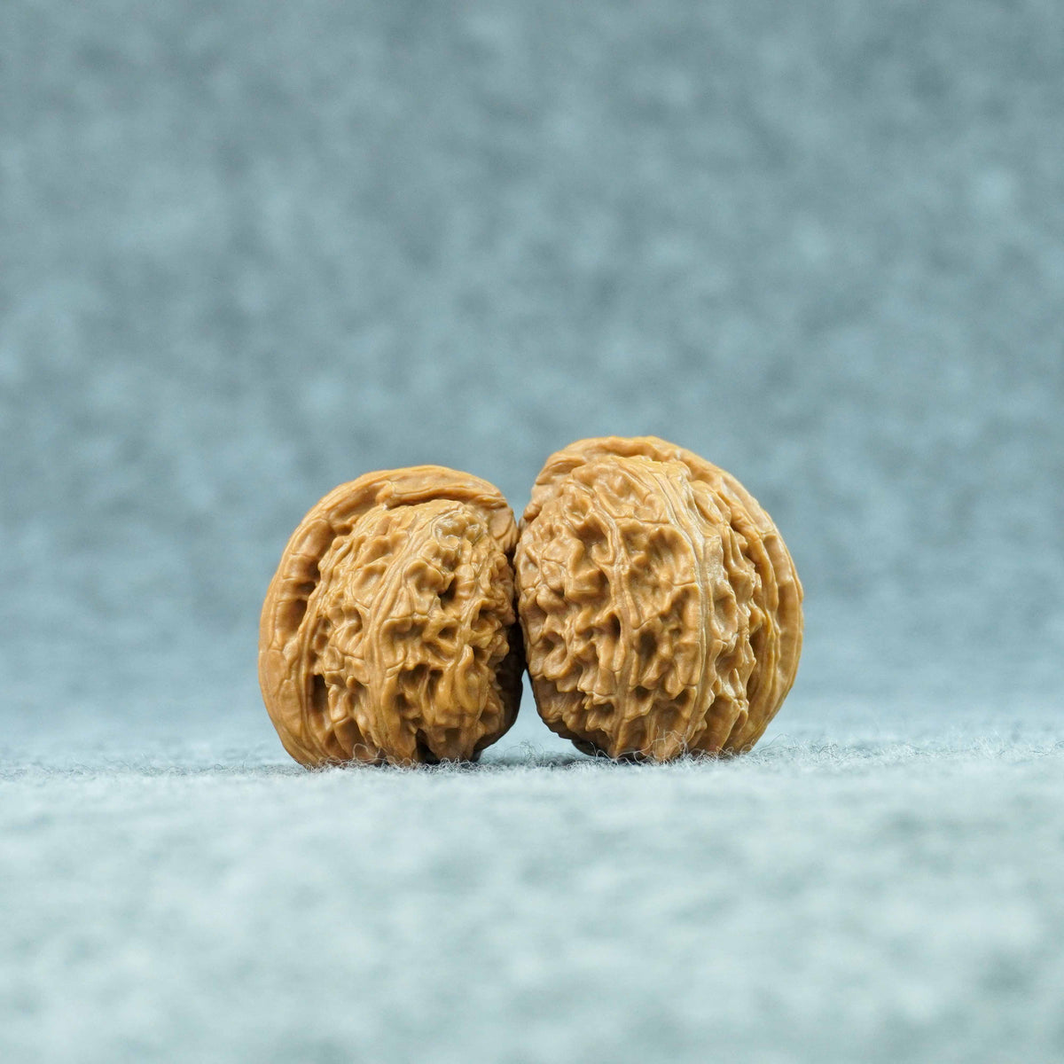 White Lion Half-Wall Walnut (Twin Walnut) – Half of the Empire | One-of-a-Kind Listing | 101301