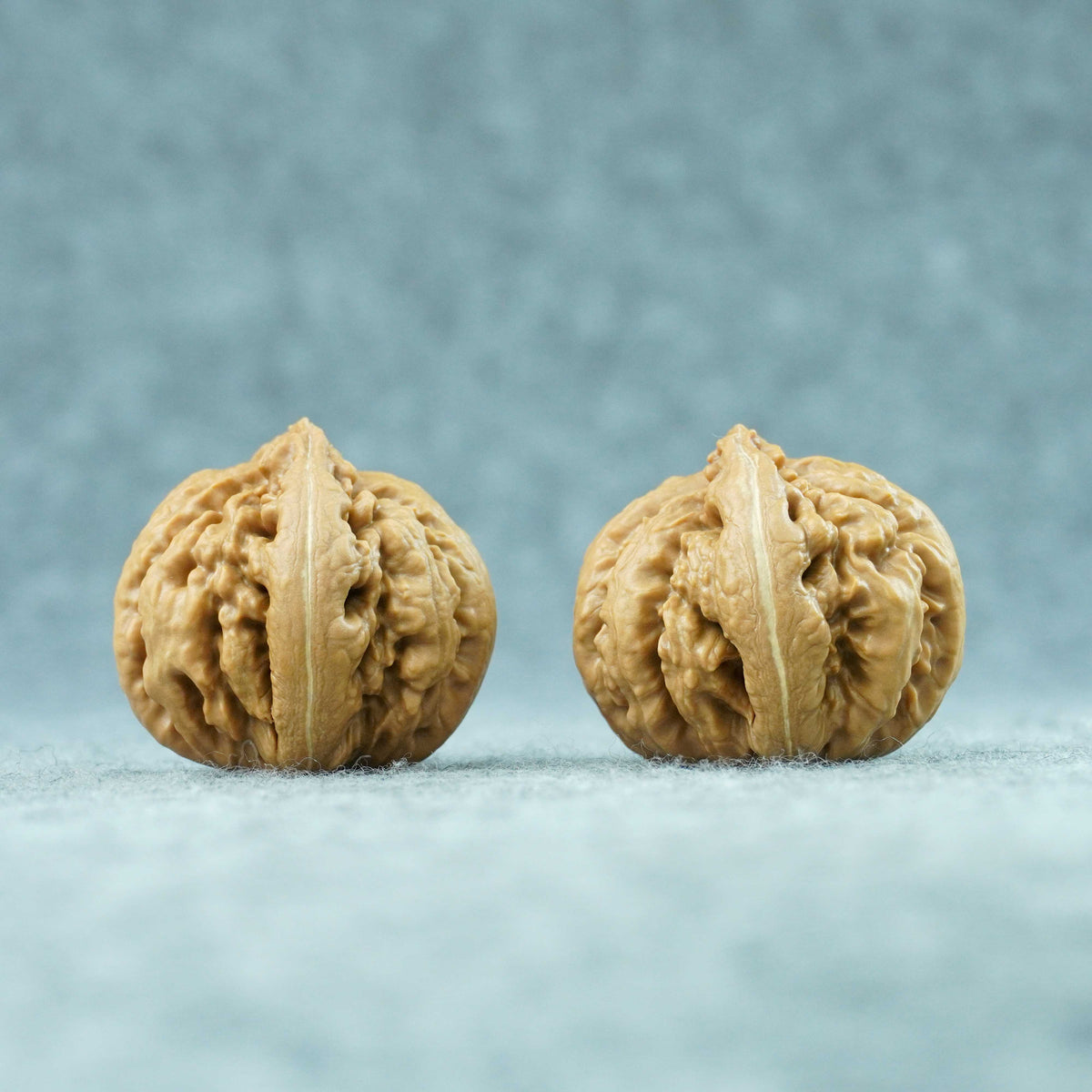 43mm Tyrannosaurus Walnut | One-of-a-Kind Collector Pair |101505