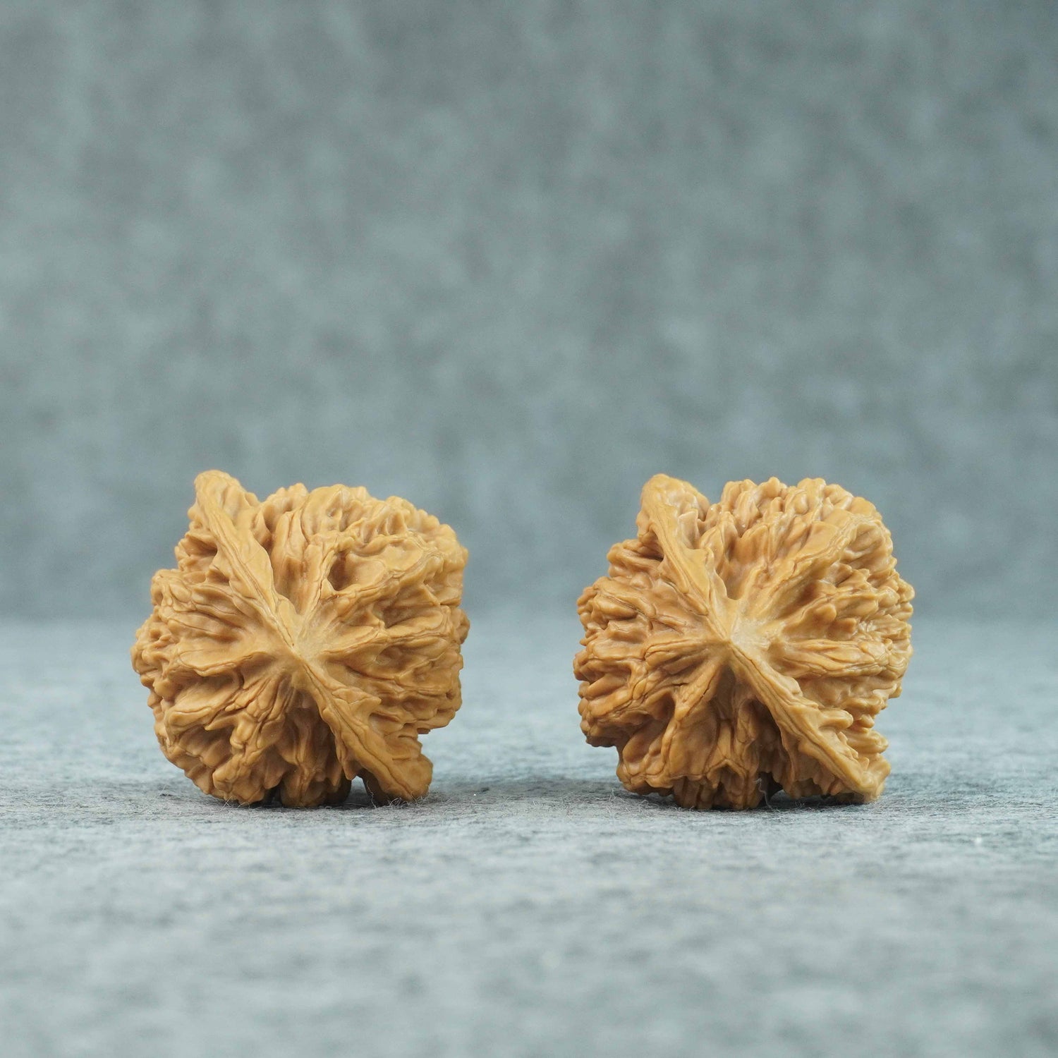48mm Emperor Lion Head Walnut | One-of-a-Kind Listing | 070206