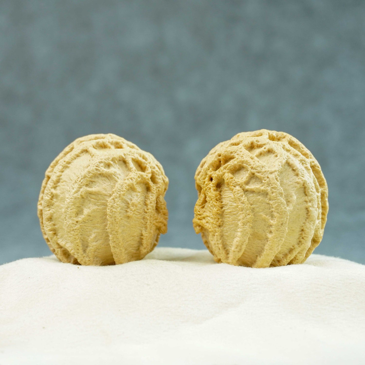 41mm Indonesian Qiankun Ghost Face Walnut | One-of-a-Kind Collector Pair | 072402