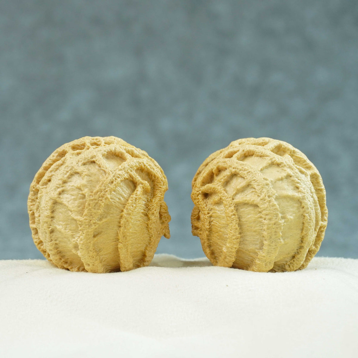 42.5mm Indonesian Qiankun Ghost Face Walnut | One-of-a-Kind Collector Pair | 072808