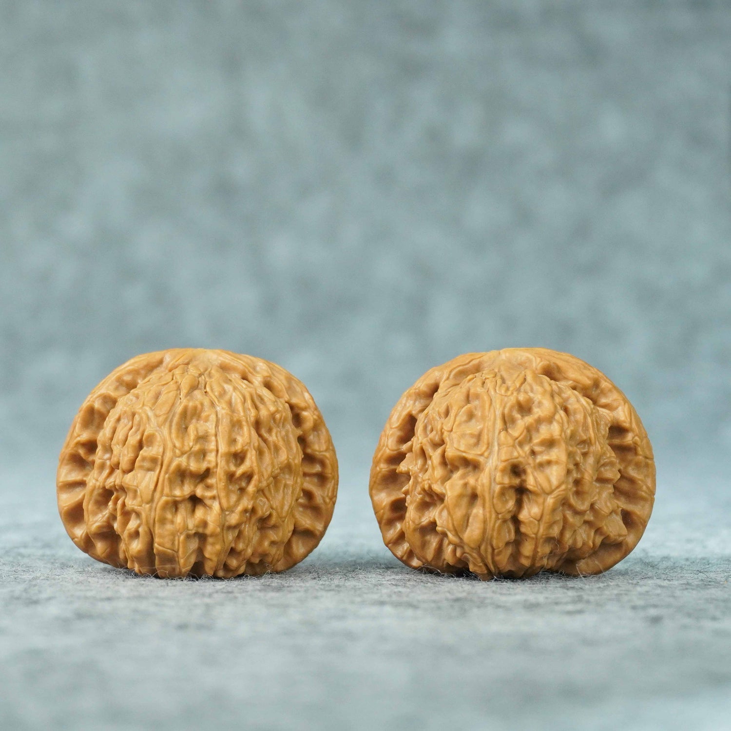 43mm Big White Lion Head Walnut Pair | One-of-a-Kind Listing | 071404