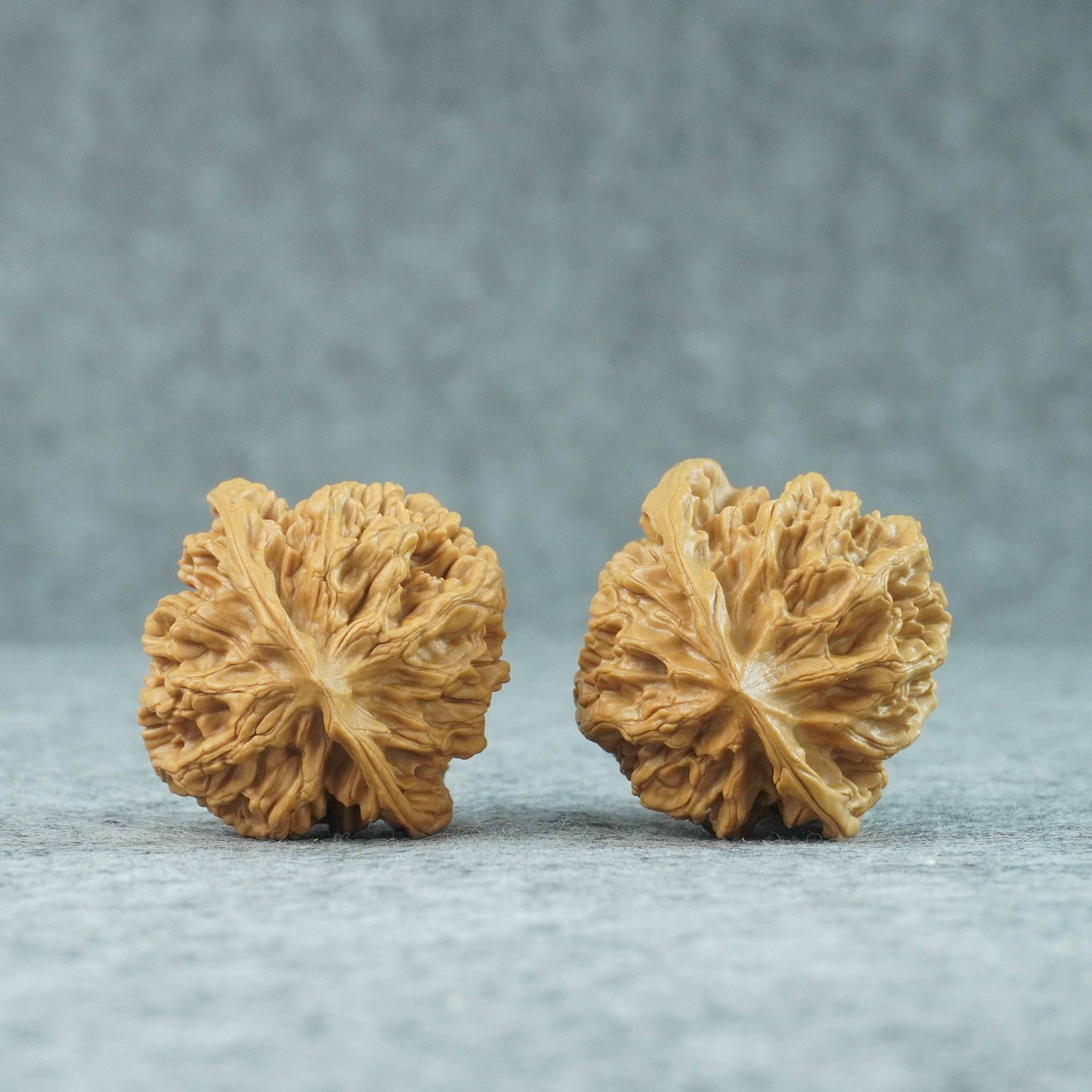 48.5mm Emperor Lion Head Walnut | One-of-a-Kind Listing | 070205