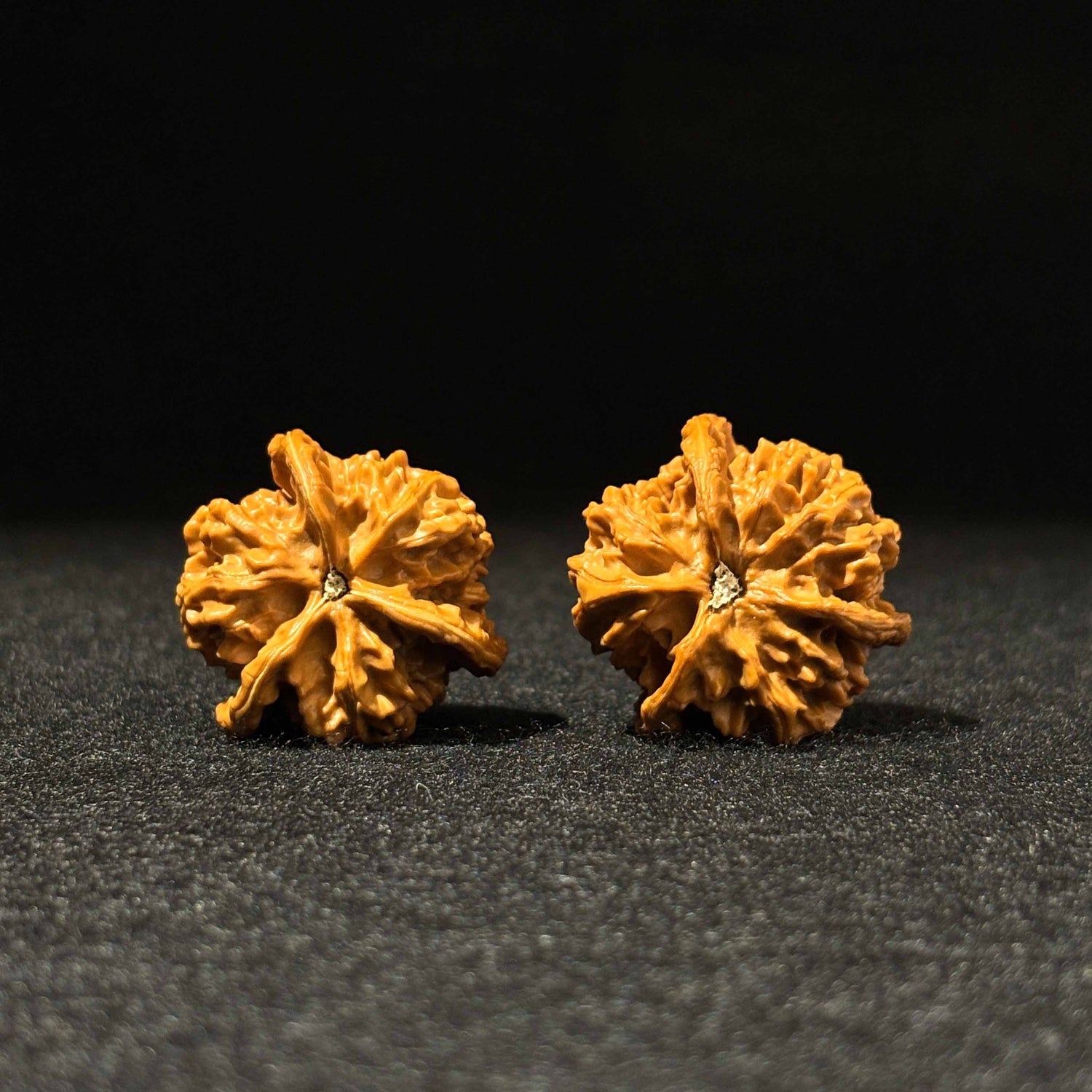 38mm Panshan Zhengben Walnut 52005 | One-of-a-Kind Listing