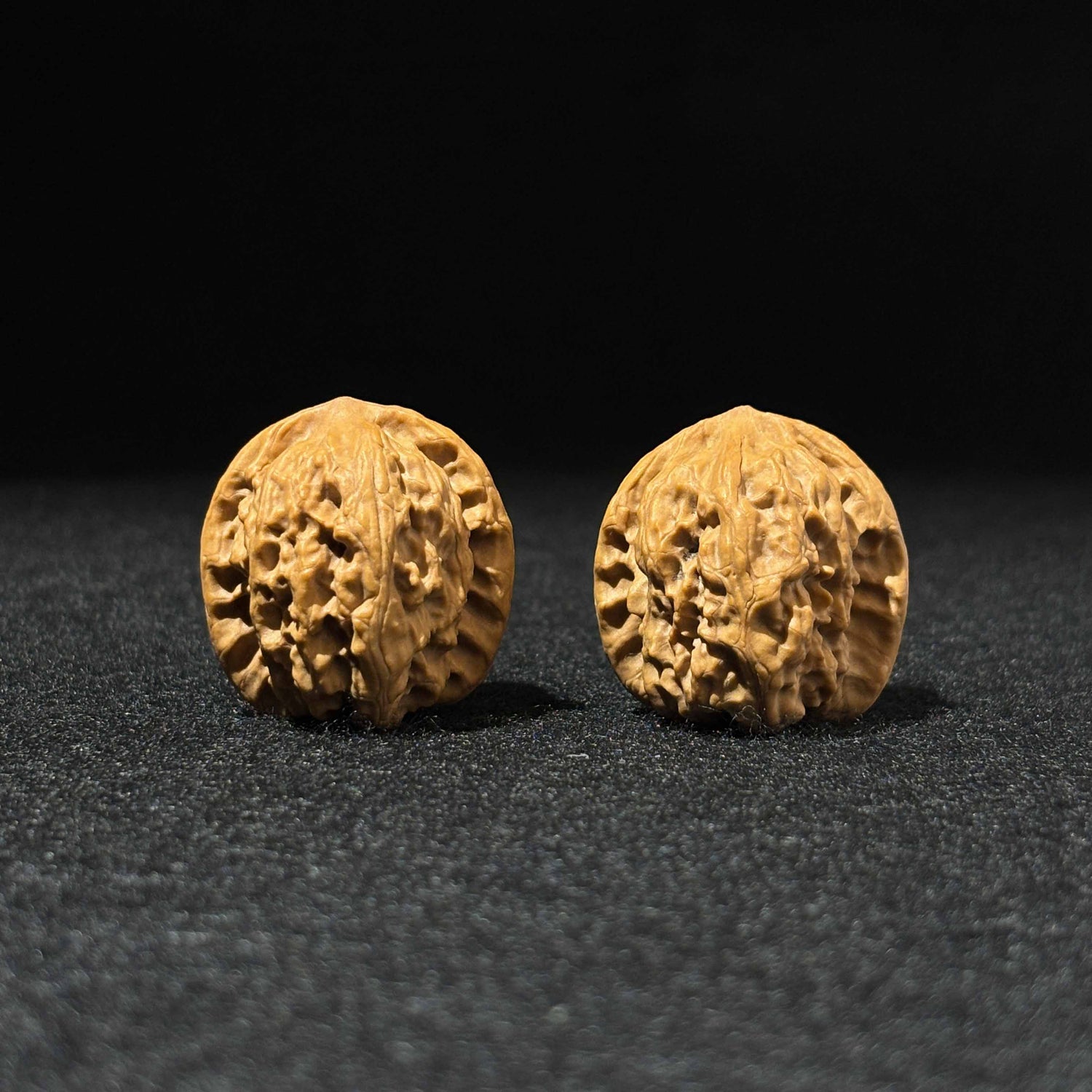 34mm Wild Wolf Walnut 52004| One-of-a-Kind Listing