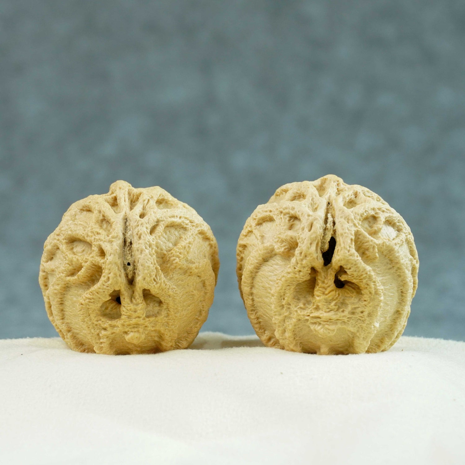 43mm Indonesian Qiankun Ghost Face Walnut | One-of-a-Kind Collector Pair | 072807
