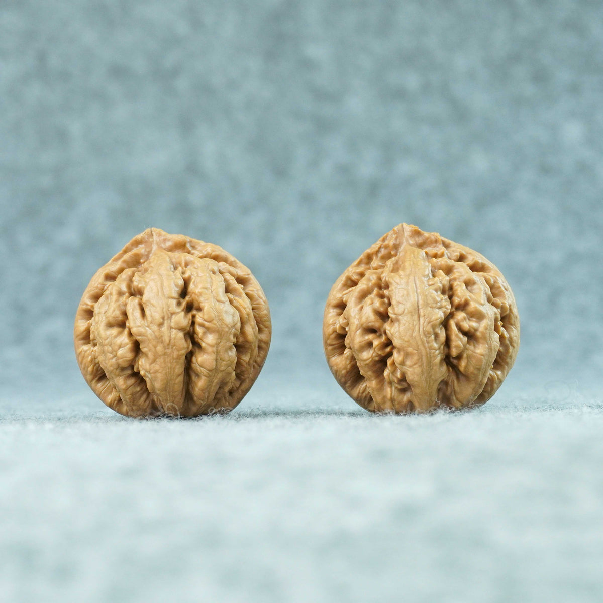 44mm Tyrannosaurus Walnut | One-of-a-Kind Collector Pair | 101307