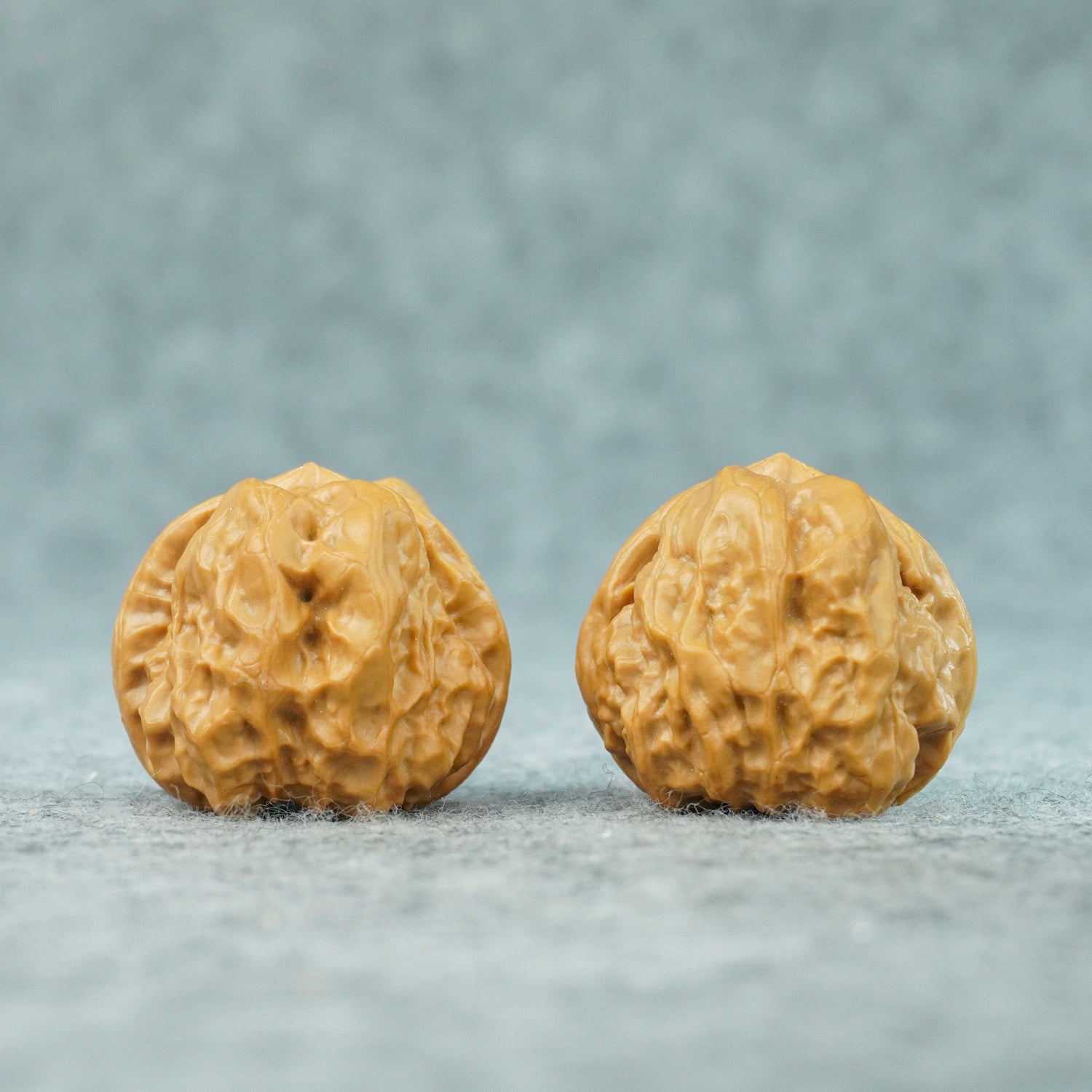 38mm Triangle Shape Toad Head Walnut Pair | One-of-a-Kind | 072106