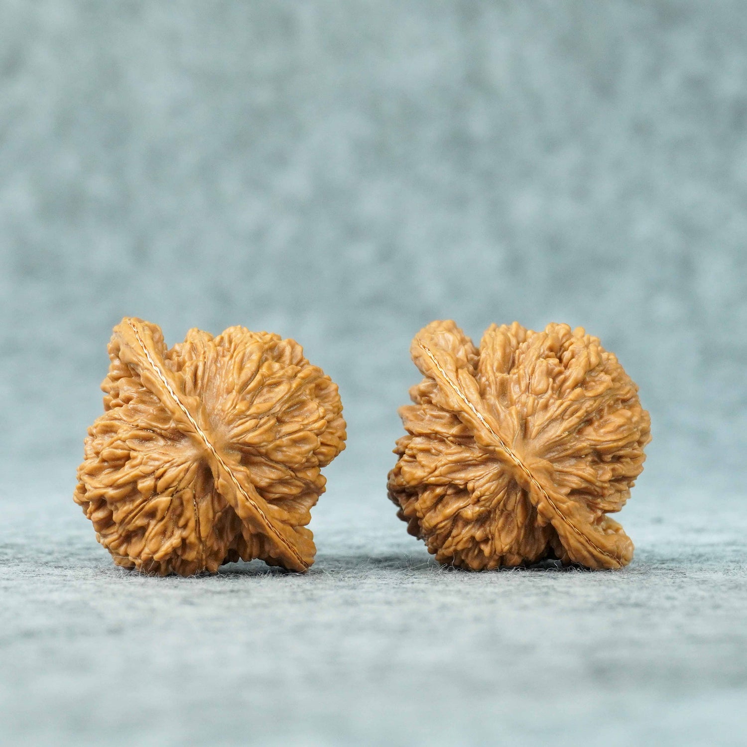 47mm Four-Tower Lion Head Walnut Pair | One-of-a-Kind Listing | 070907