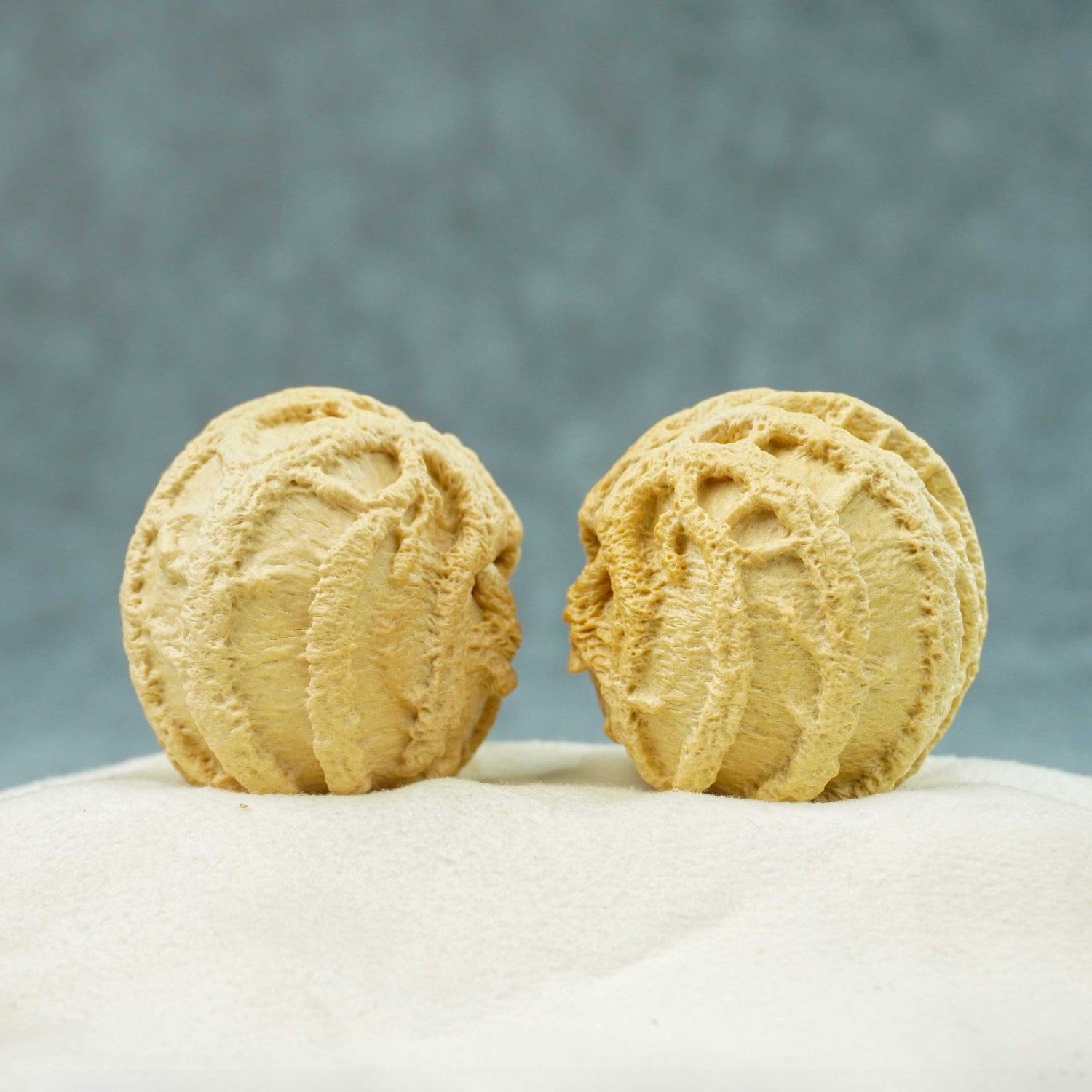 43mm Indonesian Qiankun Ghost Face Walnut | One-of-a-Kind Collector Pair | 072403