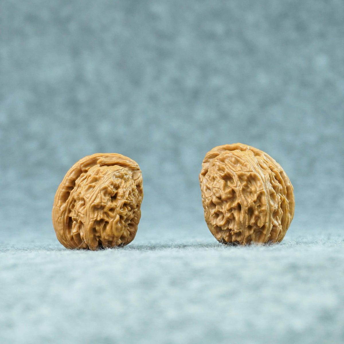 White Lion Half-Wall Walnut (Twin Walnut) – Half of the Empire | One-of-a-Kind Listing | 101301