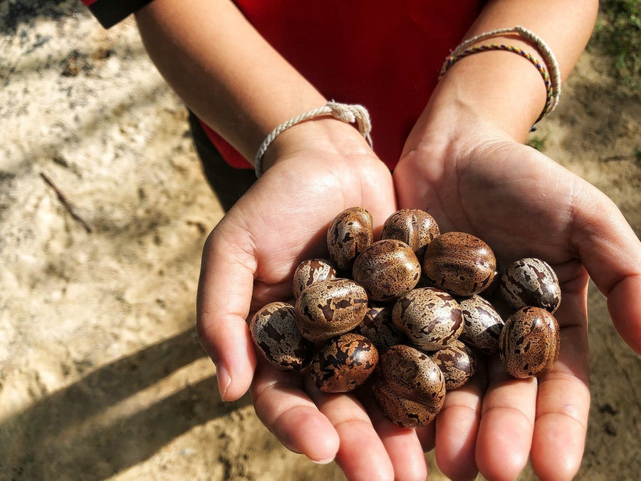 What Do Tibetan Prayer Flags Say Buddha3bodhi what-do-tibetan-prayer-flags-say-buddha3bodhi