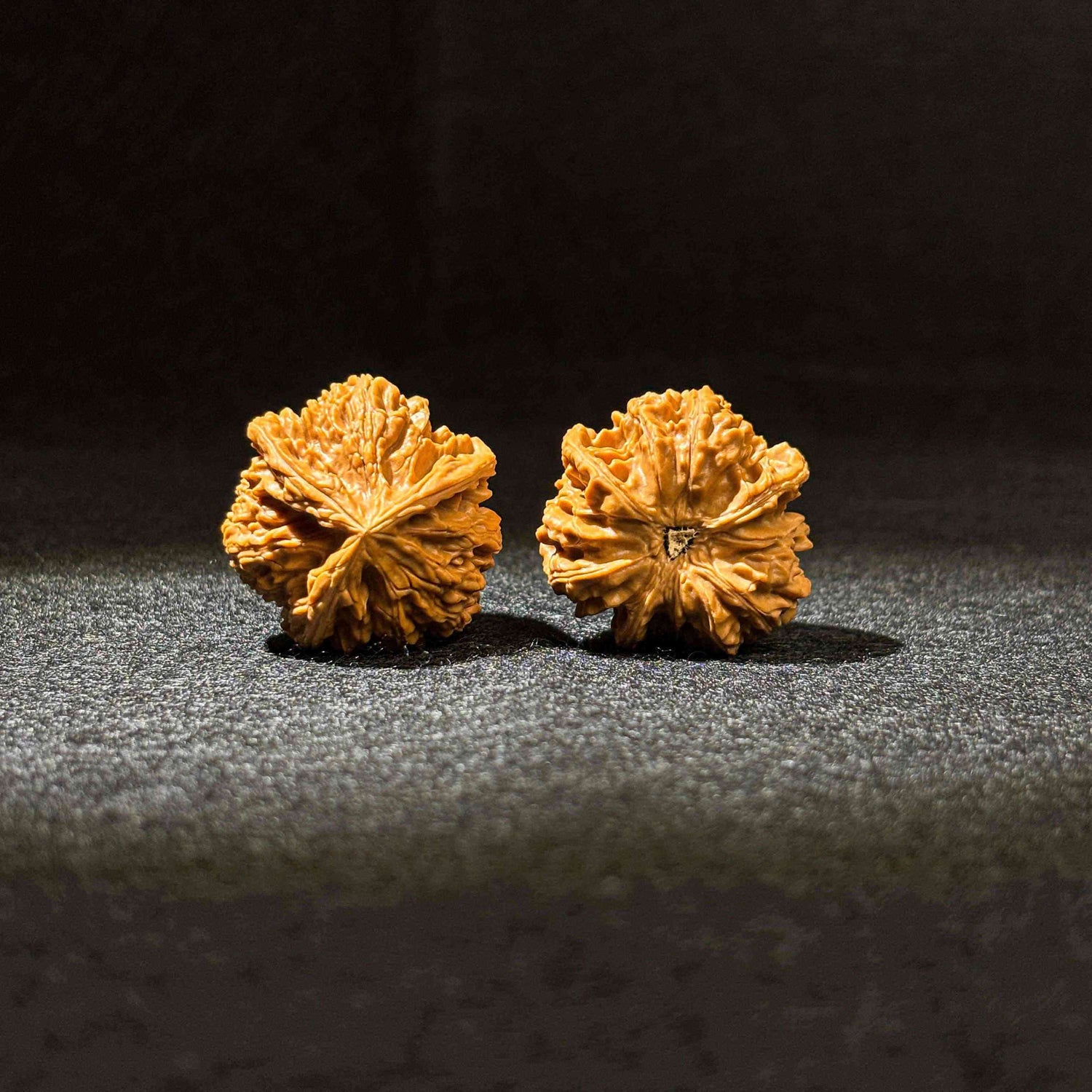 40mm Wenshan Three-Ridge Walnut | One-of-a-Kind Listing