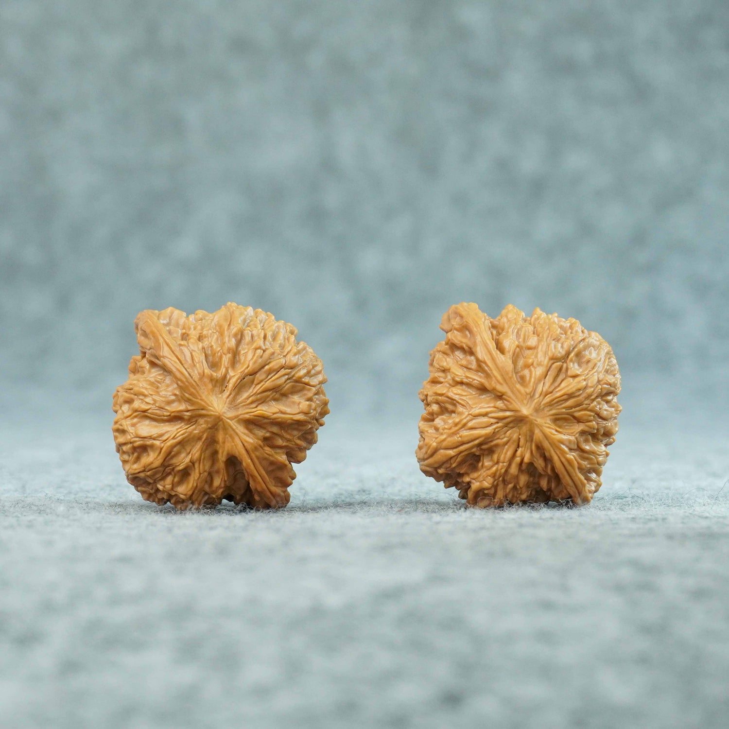 42.5mm Zhengmo (Mopan) Walnut | One-of-a-Kind Pair | 081402