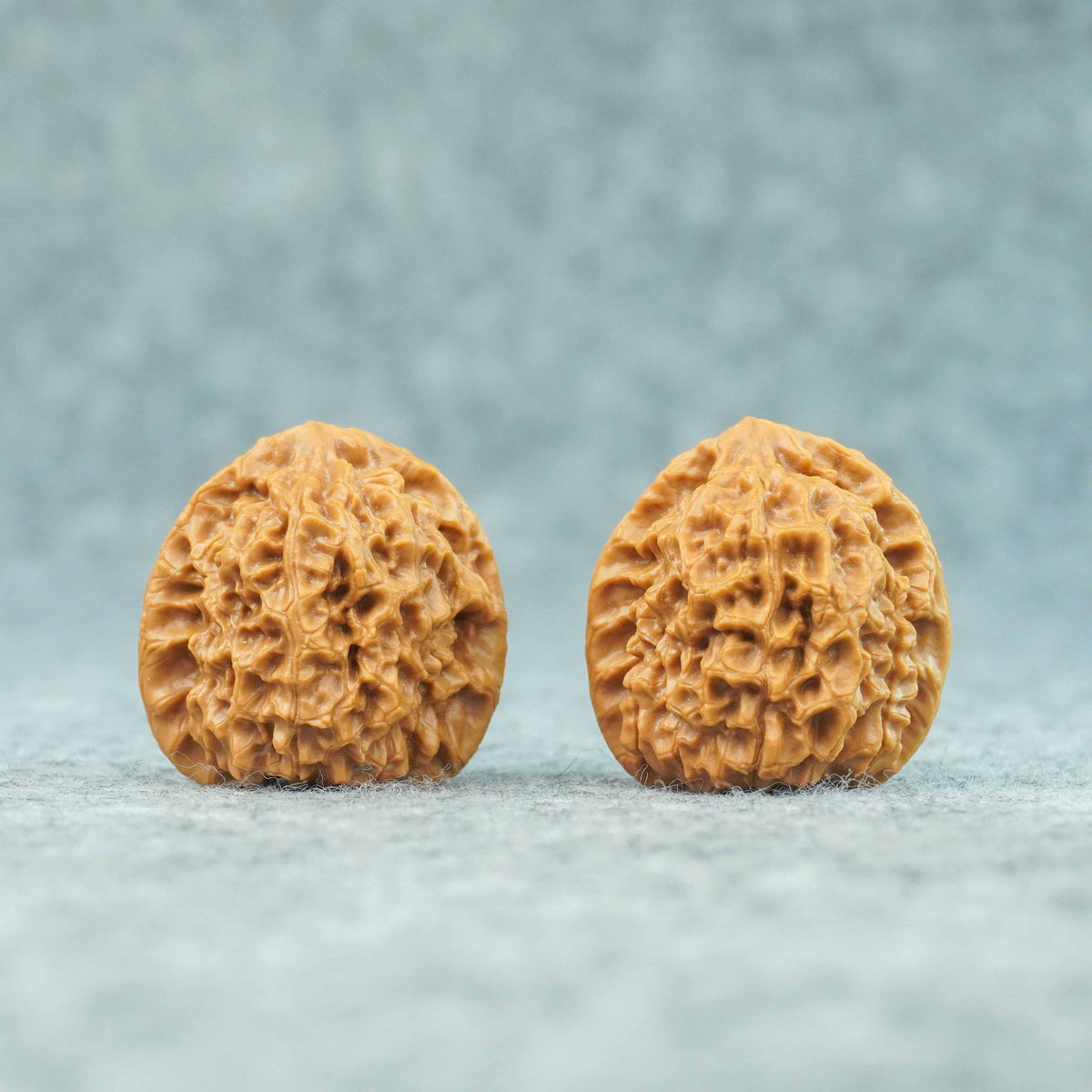 37mm Caviar Pattern Rolling Stone Lion Head Walnut | One-of-a-Kind Listing | 092418