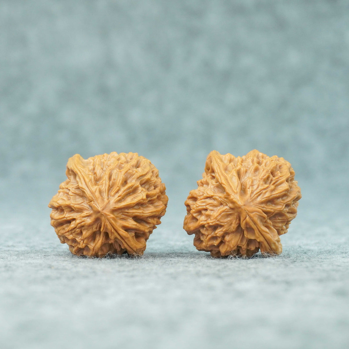 37mm Caviar Pattern Rolling Stone Lion Head Walnut | One-of-a-Kind Listing | 092416