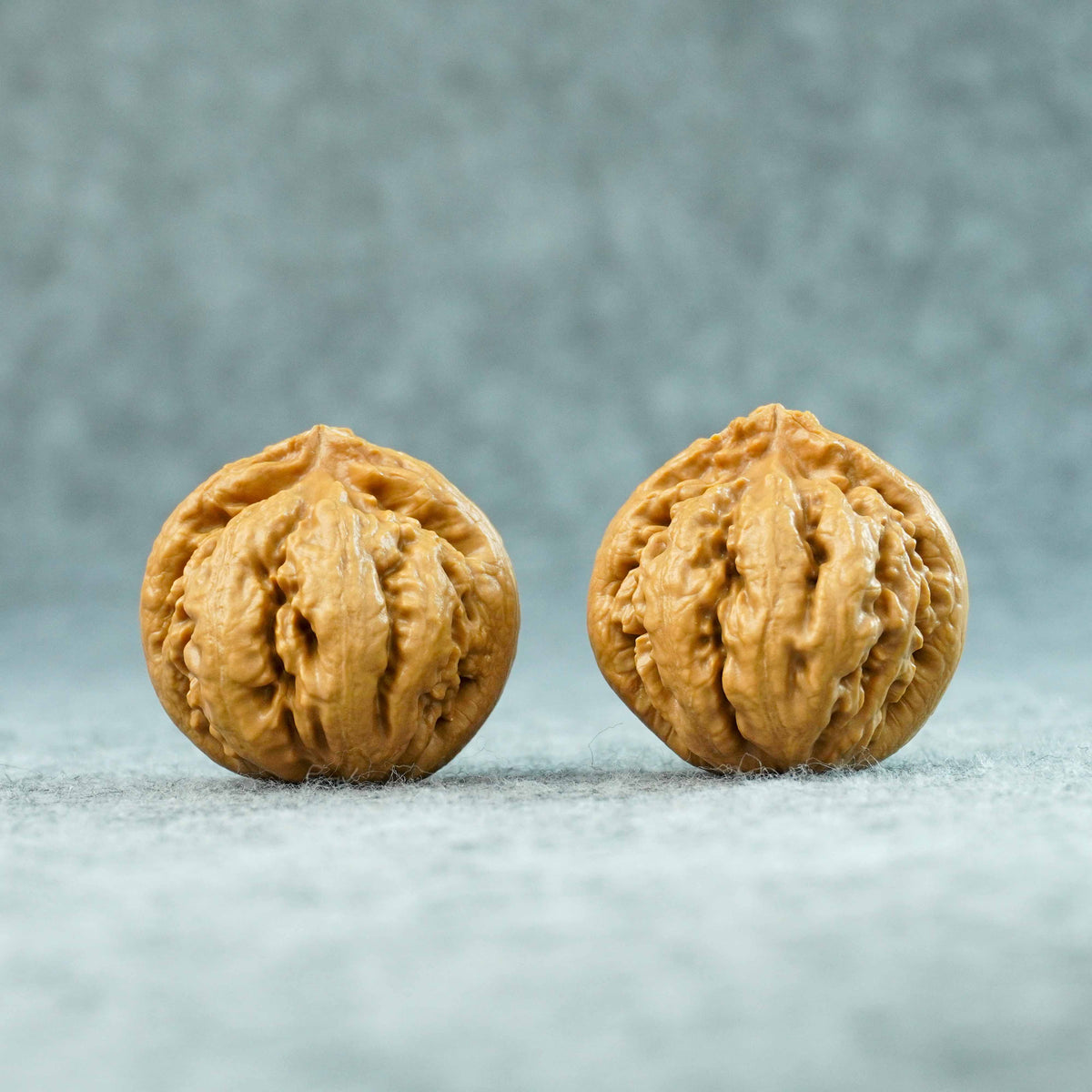 41mm Tyrannosaurus Walnut | One-of-a-Kind Collector Pair | 092005