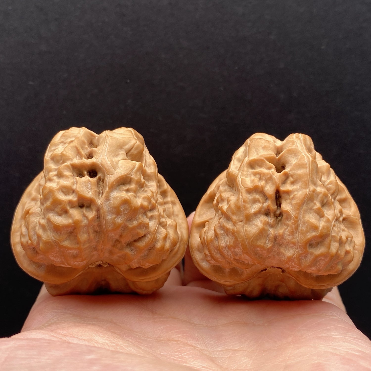 Toad Head Walnuts