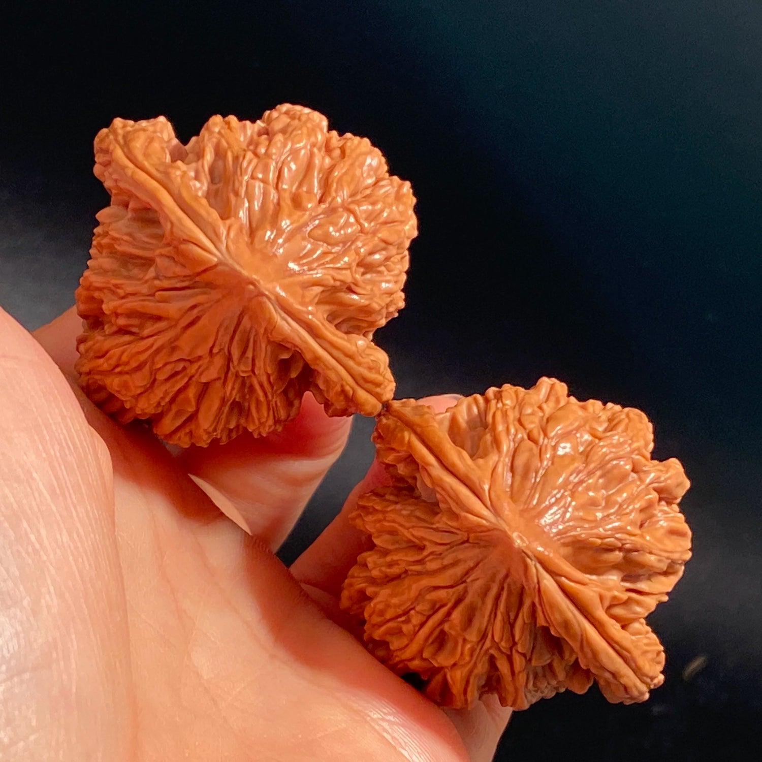 Limited-Time Offer—Wheat-Ear Tiger Head Walnuts