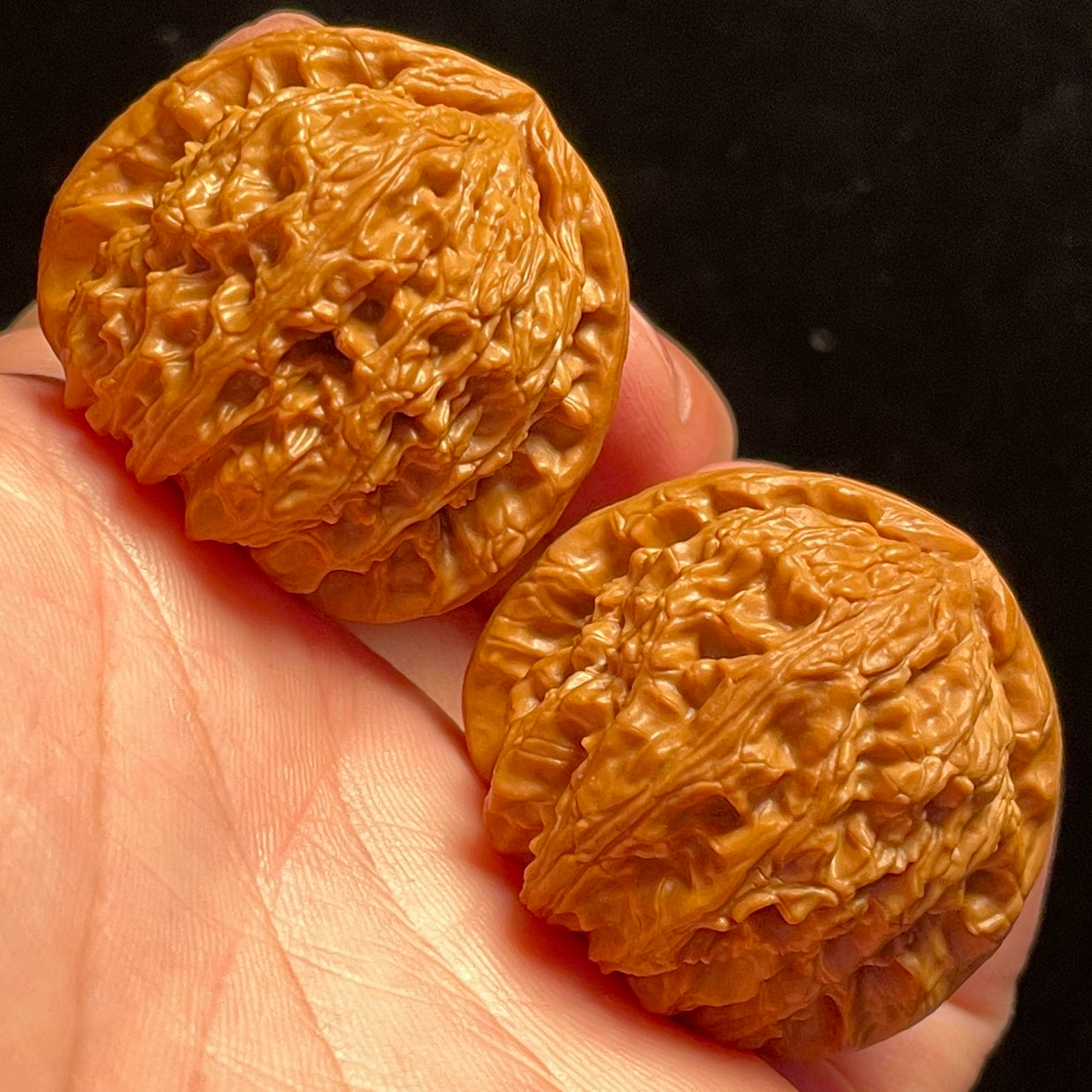 White Lion Head Walnuts