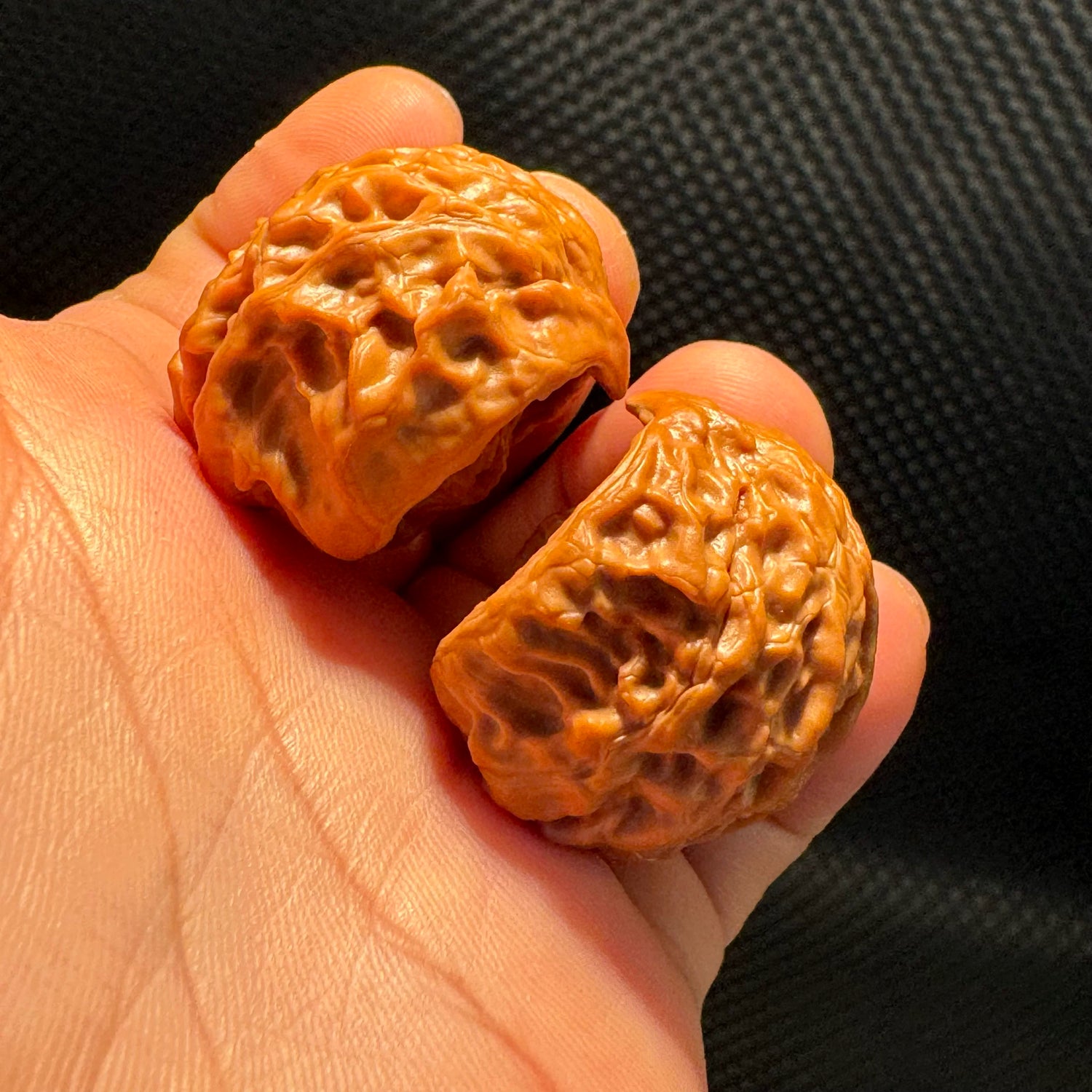 Limited-Time Offer – Small Snake Head Mini Walnuts