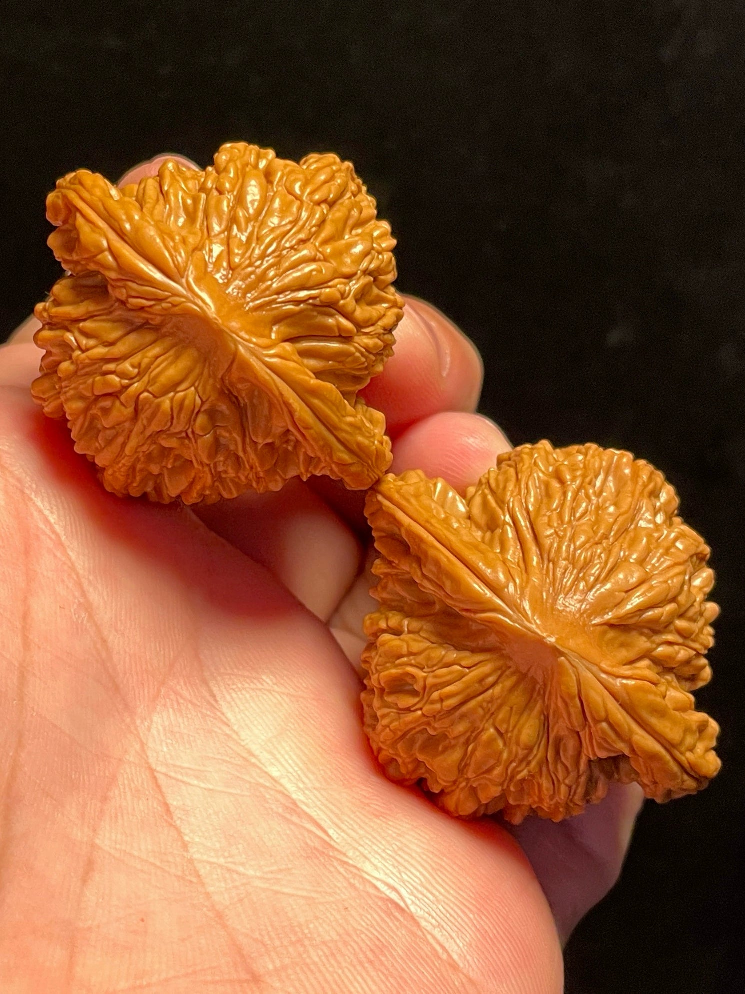 Wheat-Ear Tiger Head Walnuts