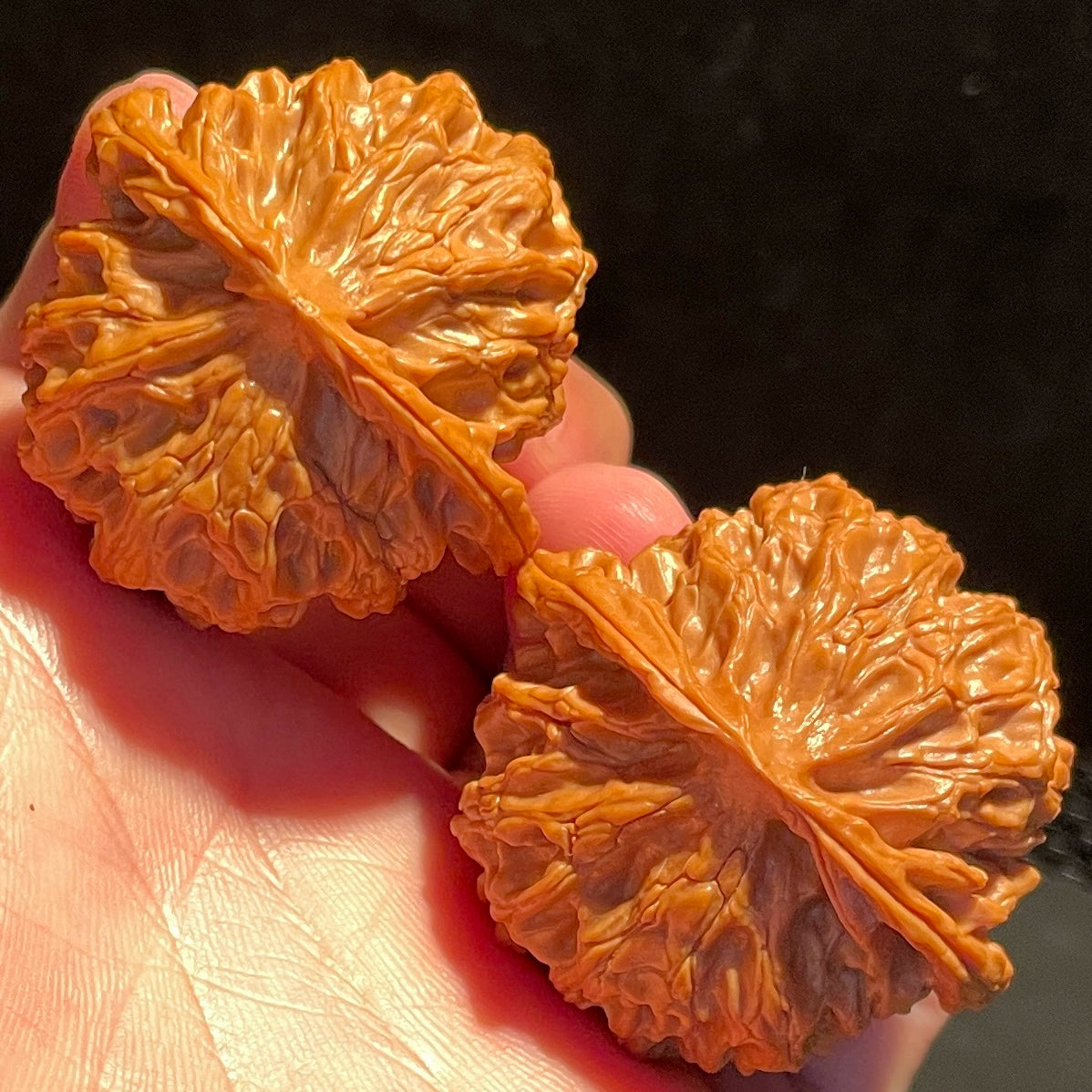 Apple Garden Lion Head Walnuts
