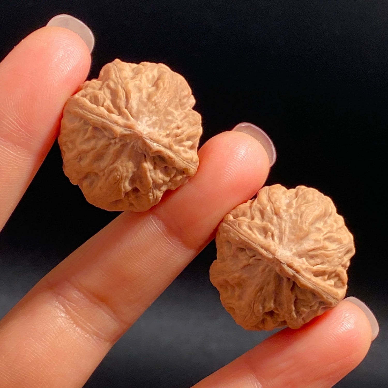 Mini Hand-rolled Qiu Zi Walnuts – Compact Wild Mountain Walnuts