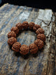 Nepal Dragon Claw Large Rudraksha Bodhi Bead Bracelet